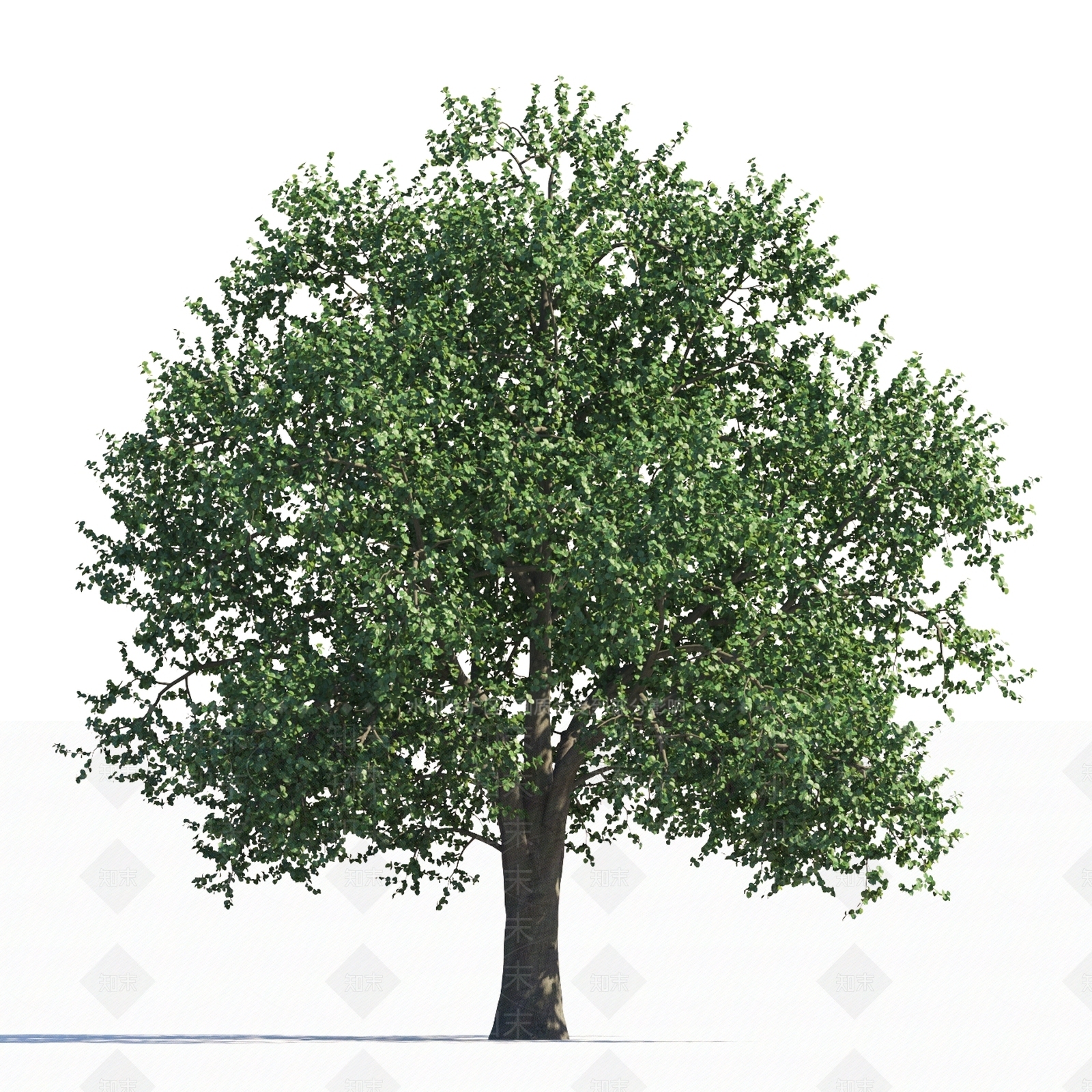 乔木3D模型下载【ID:1151893247】