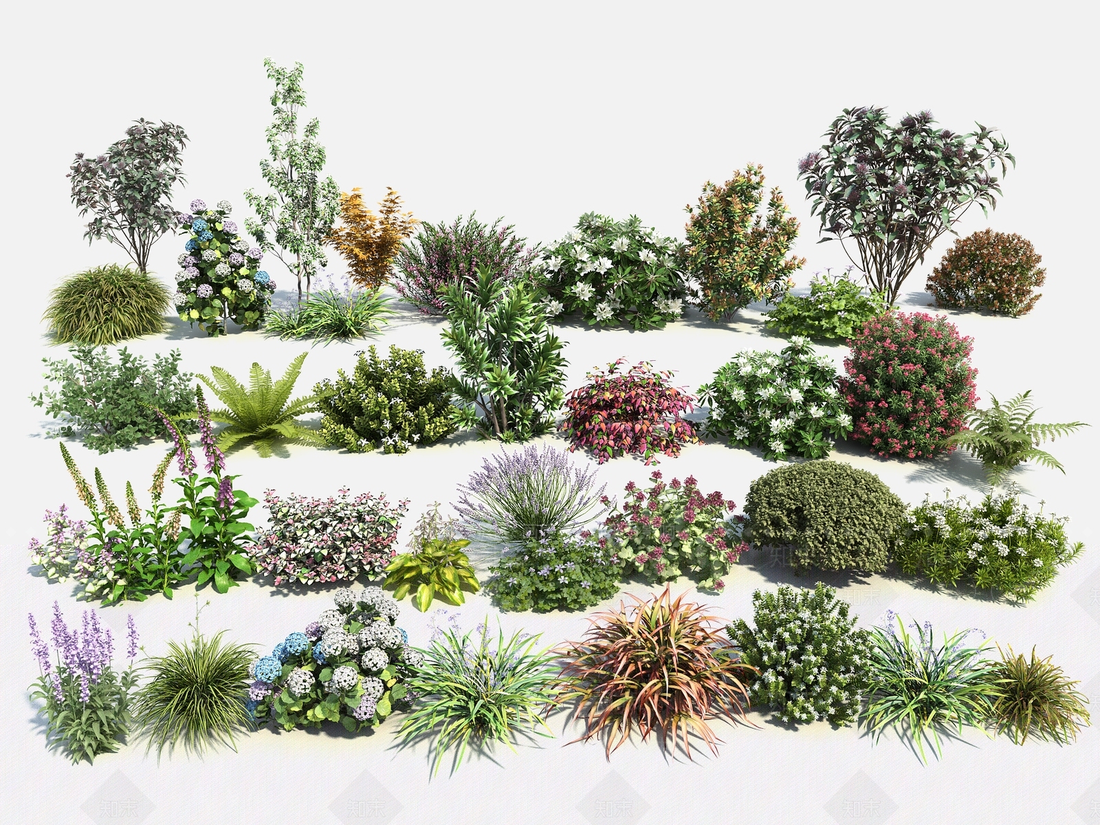 现代花卉灌木组合3D模型下载【ID:1151908726】