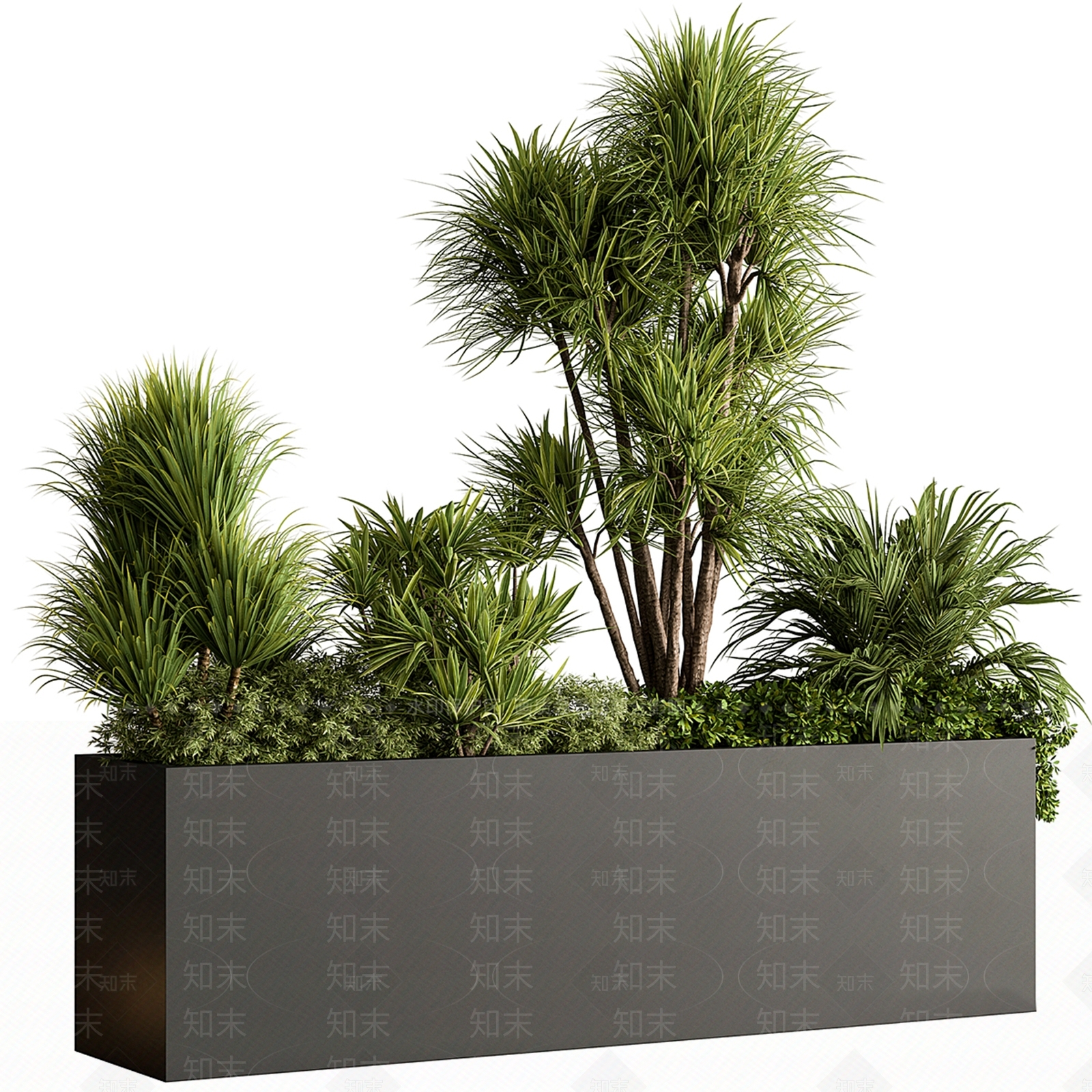 现代植物盆栽3D模型下载【ID:1151917746】