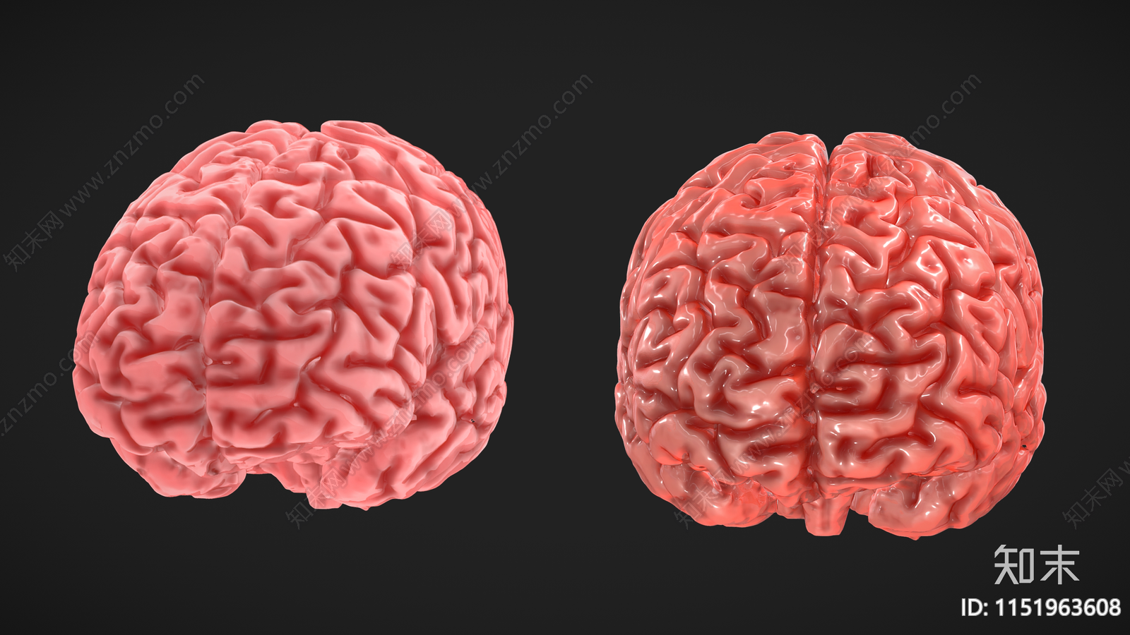 人类大脑3D模型下载【ID:1151963608】