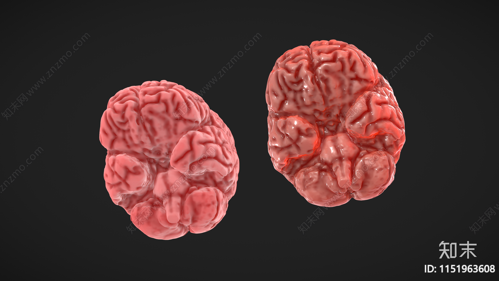 人类大脑3D模型下载【ID:1151963608】