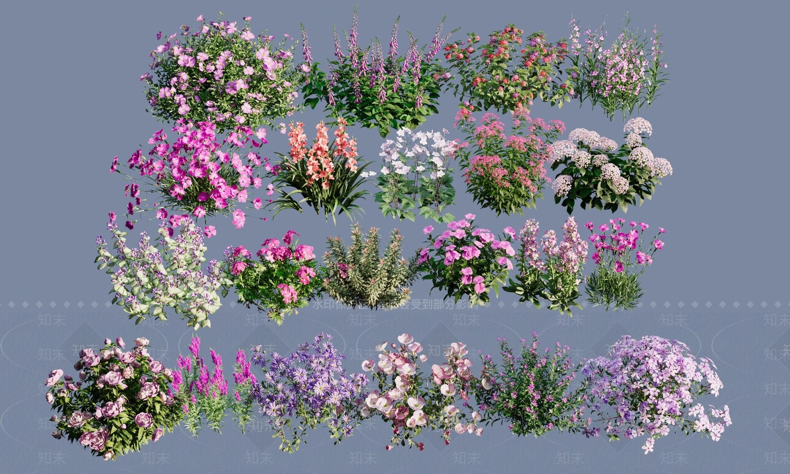 粉紫色花草灌木集合SU模型下载【ID:1151992701】