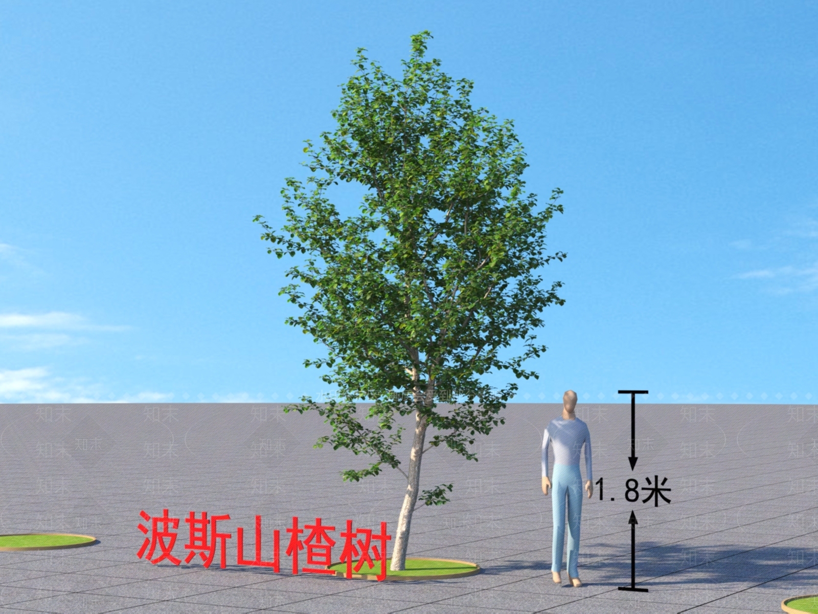 乔木3D模型下载【ID:1152018041】