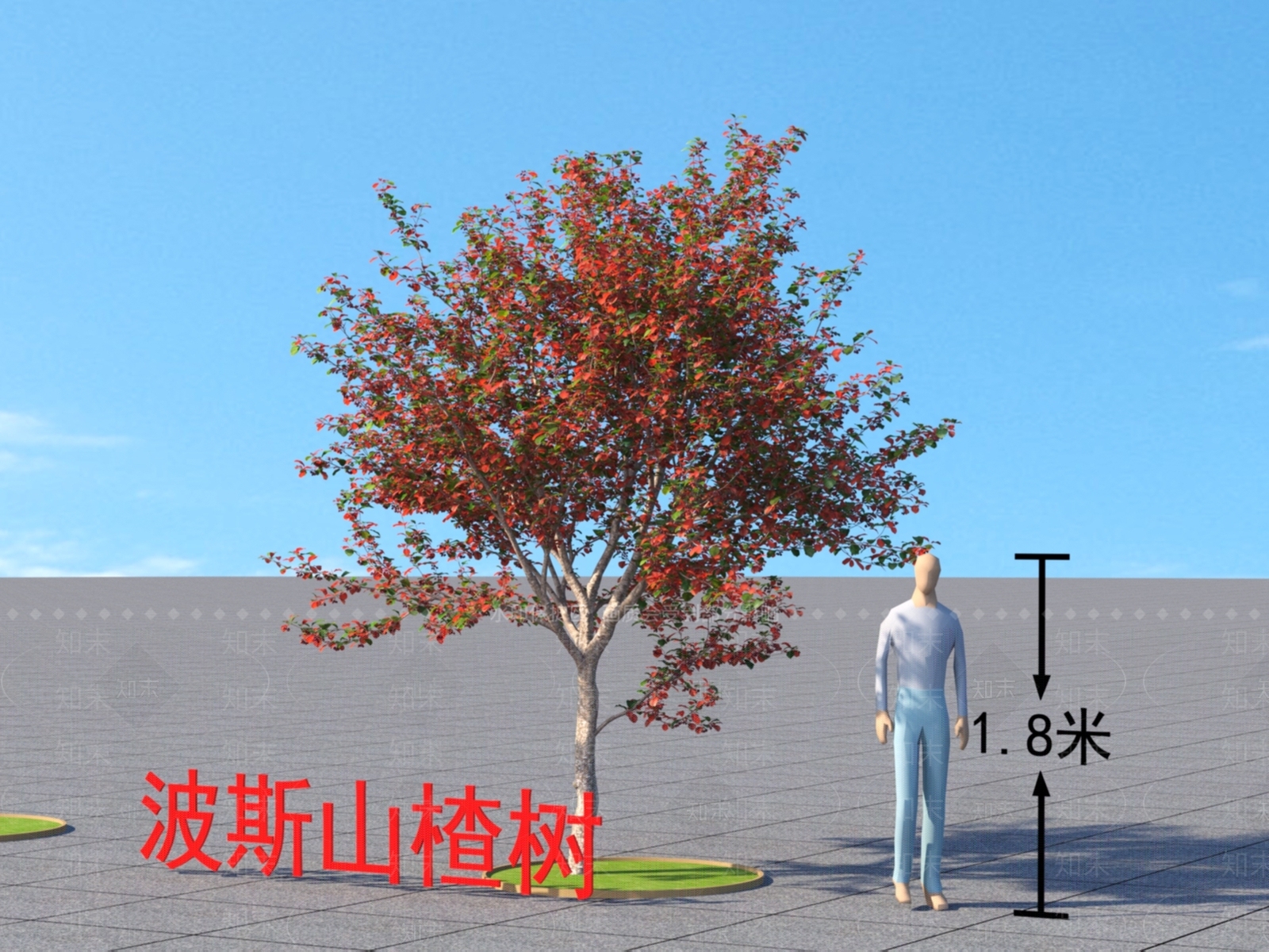 乔木3D模型下载【ID:1152047876】