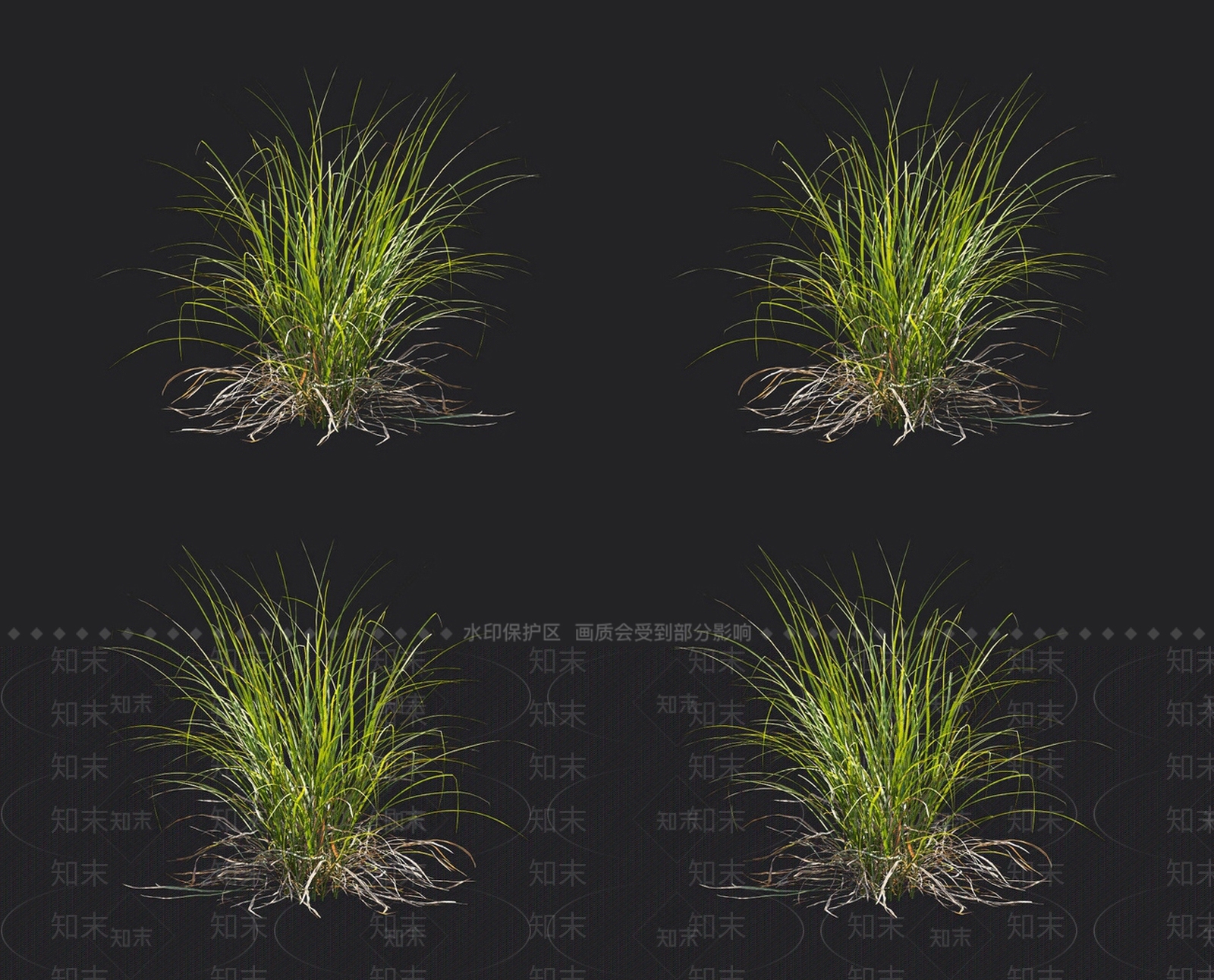薹草3D模型下载【ID:1152055224】