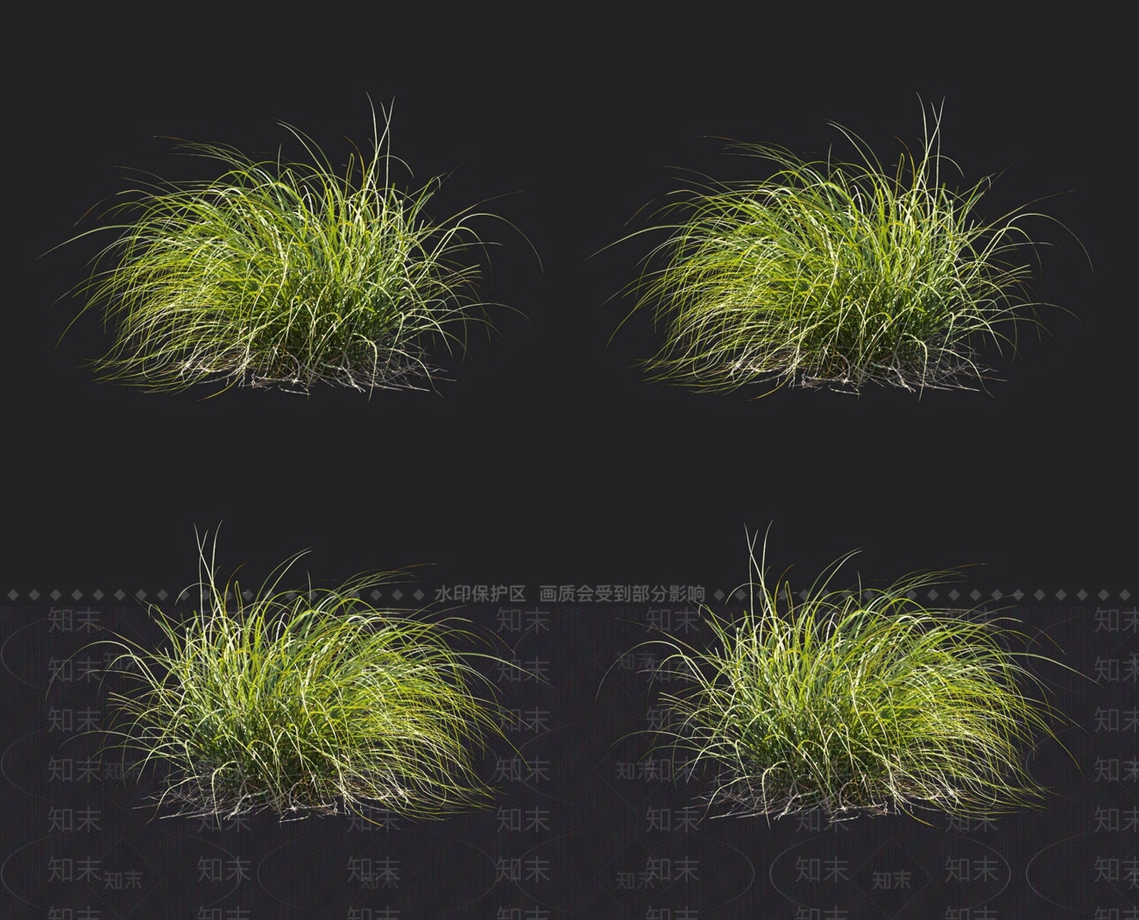 薹草3D模型下载【ID:1152055483】