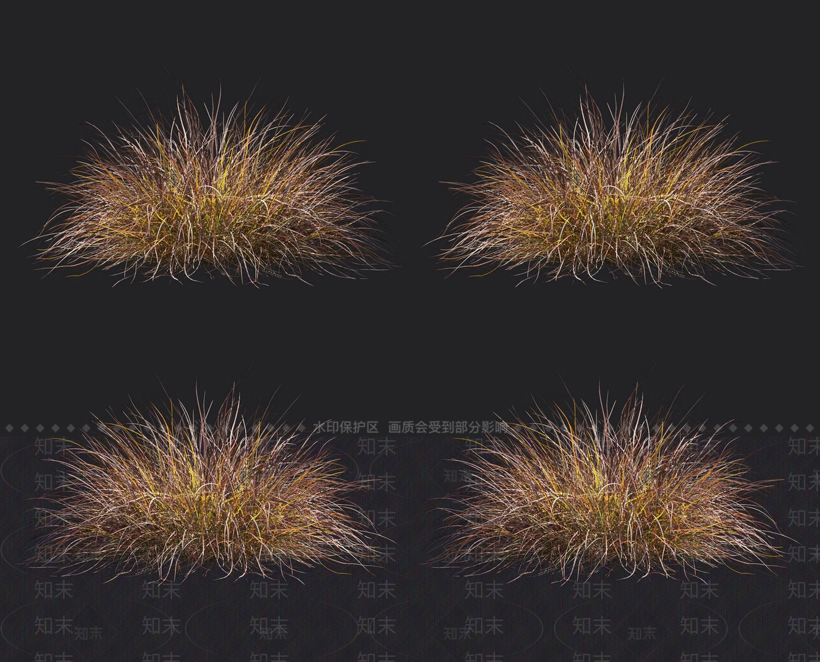 薹草3D模型下载【ID:1152055664】