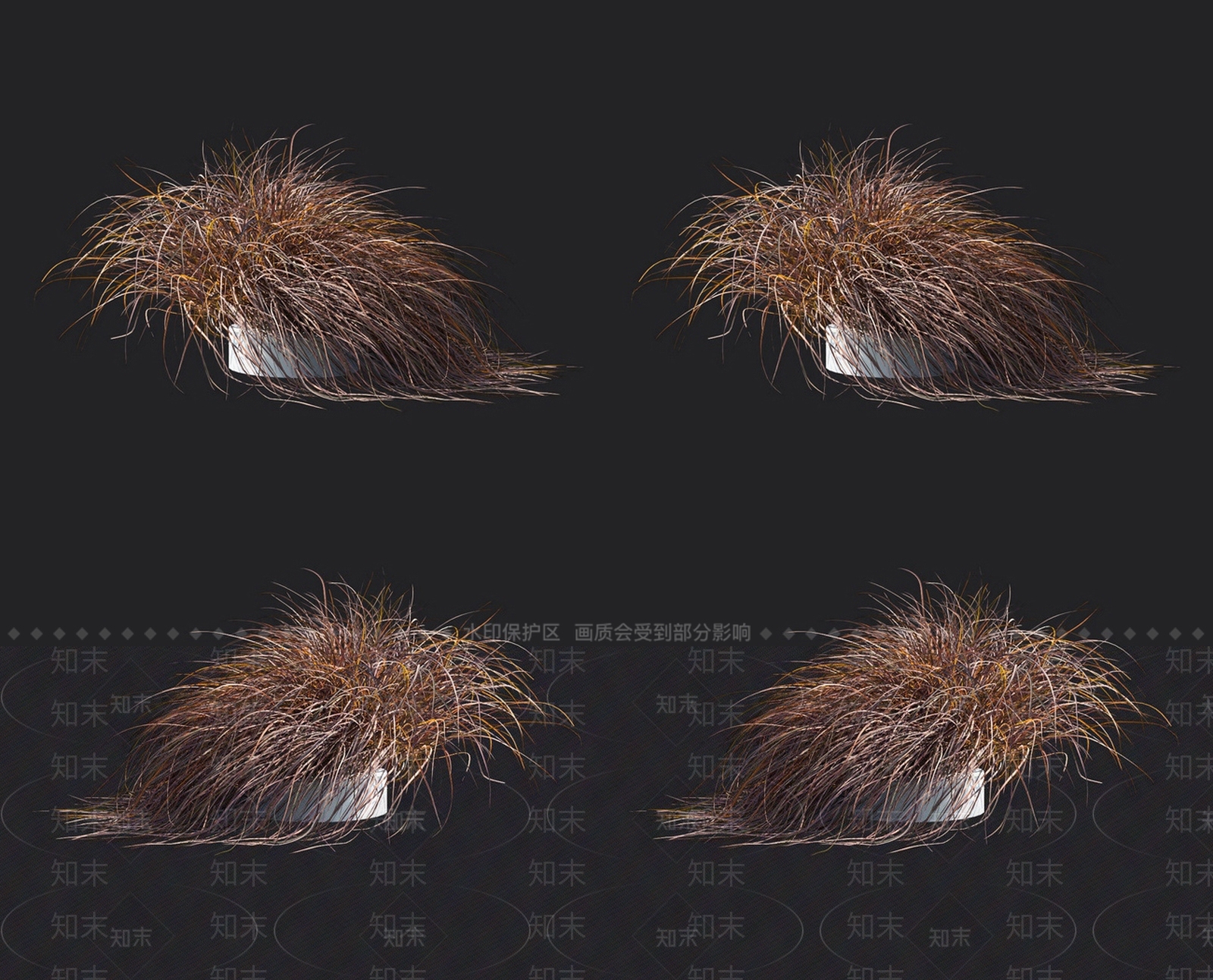 薹草3D模型下载【ID:1152056291】