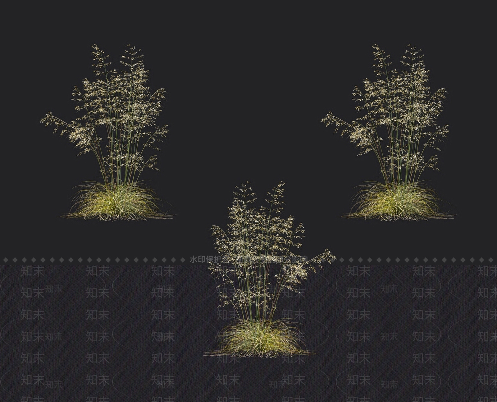 羽毛草3D模型下载【ID:1152056542】