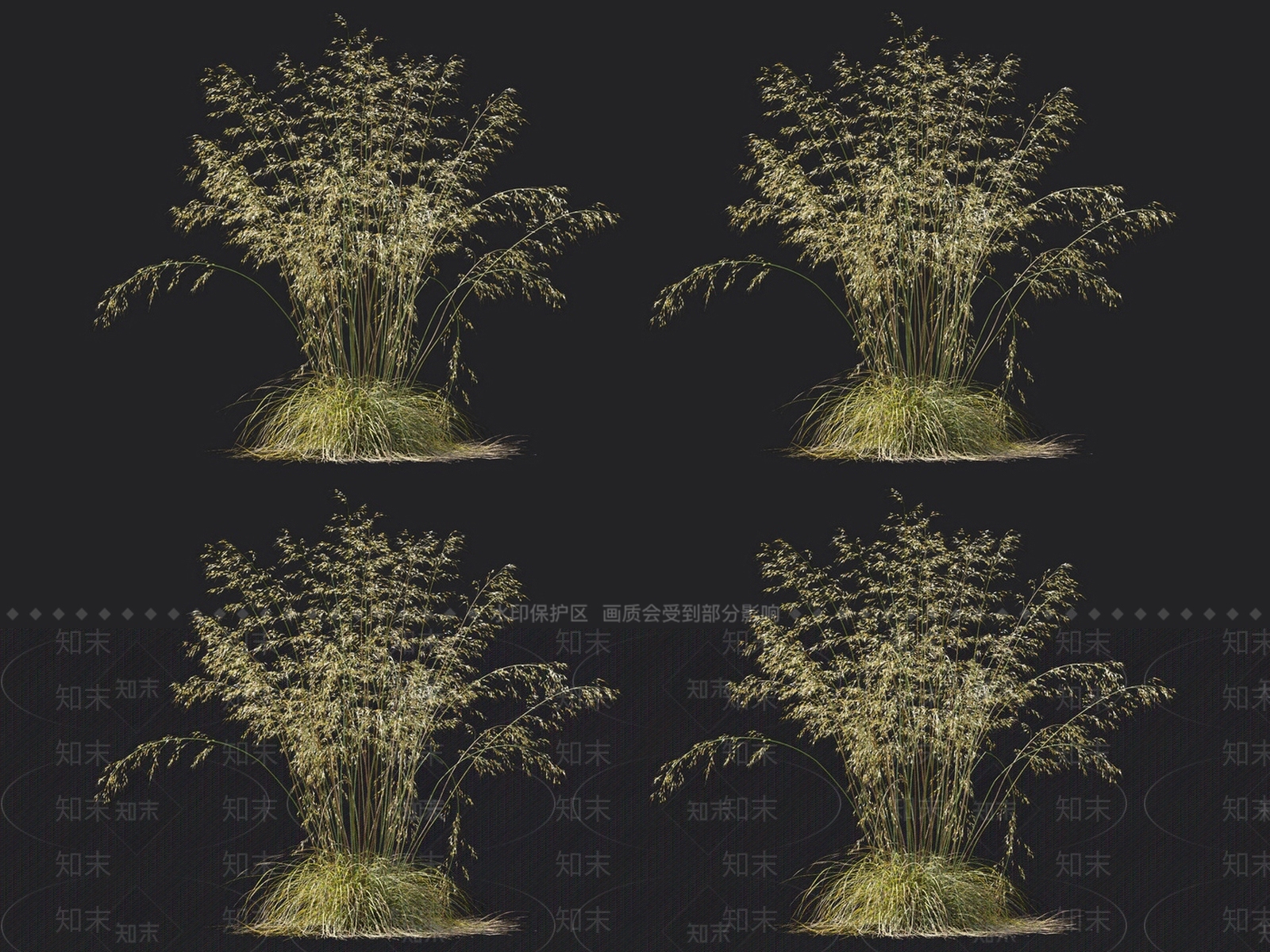 羽毛草3D模型下载【ID:1152056408】