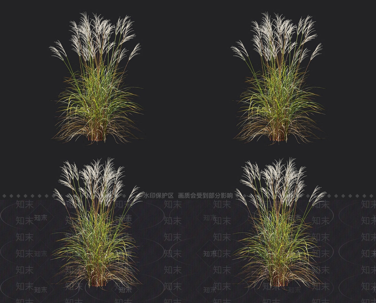 芒草3D模型下载【ID:1152066667】
