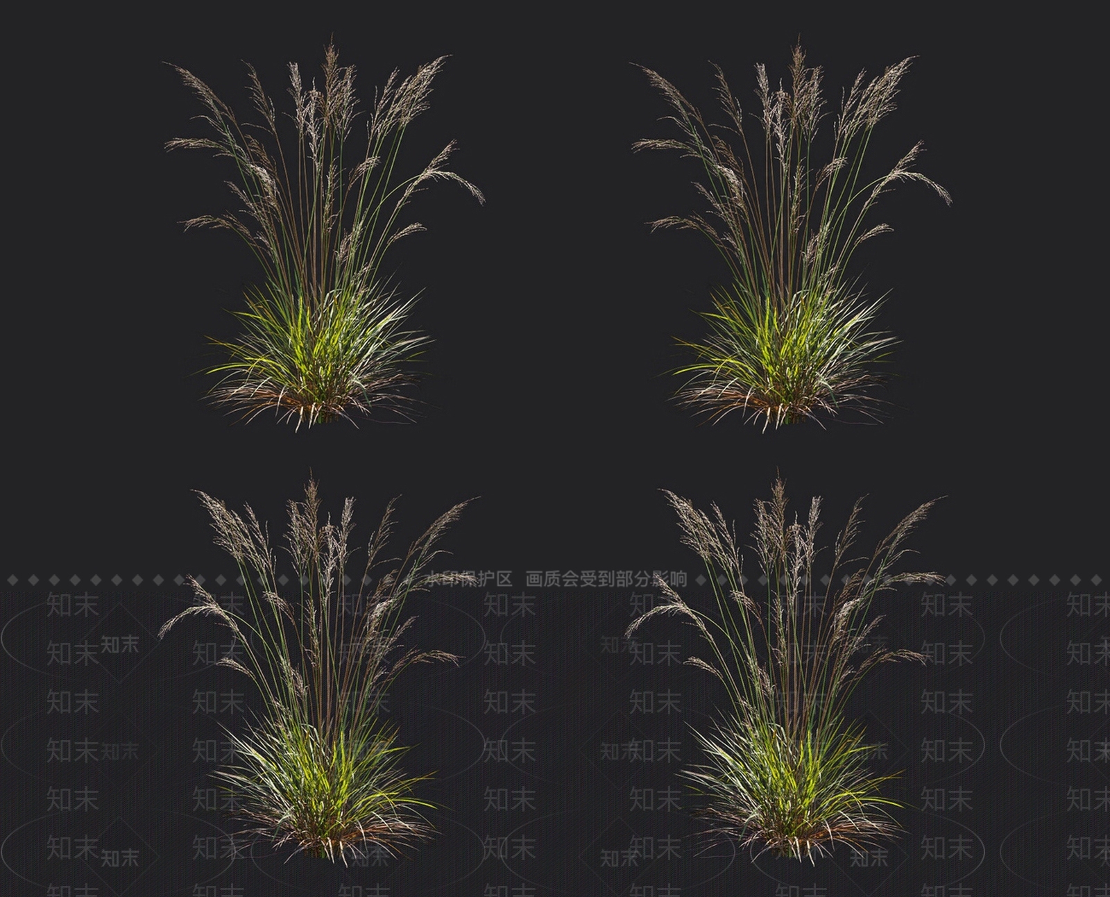 蓝沼草3D模型下载【ID:1152068254】