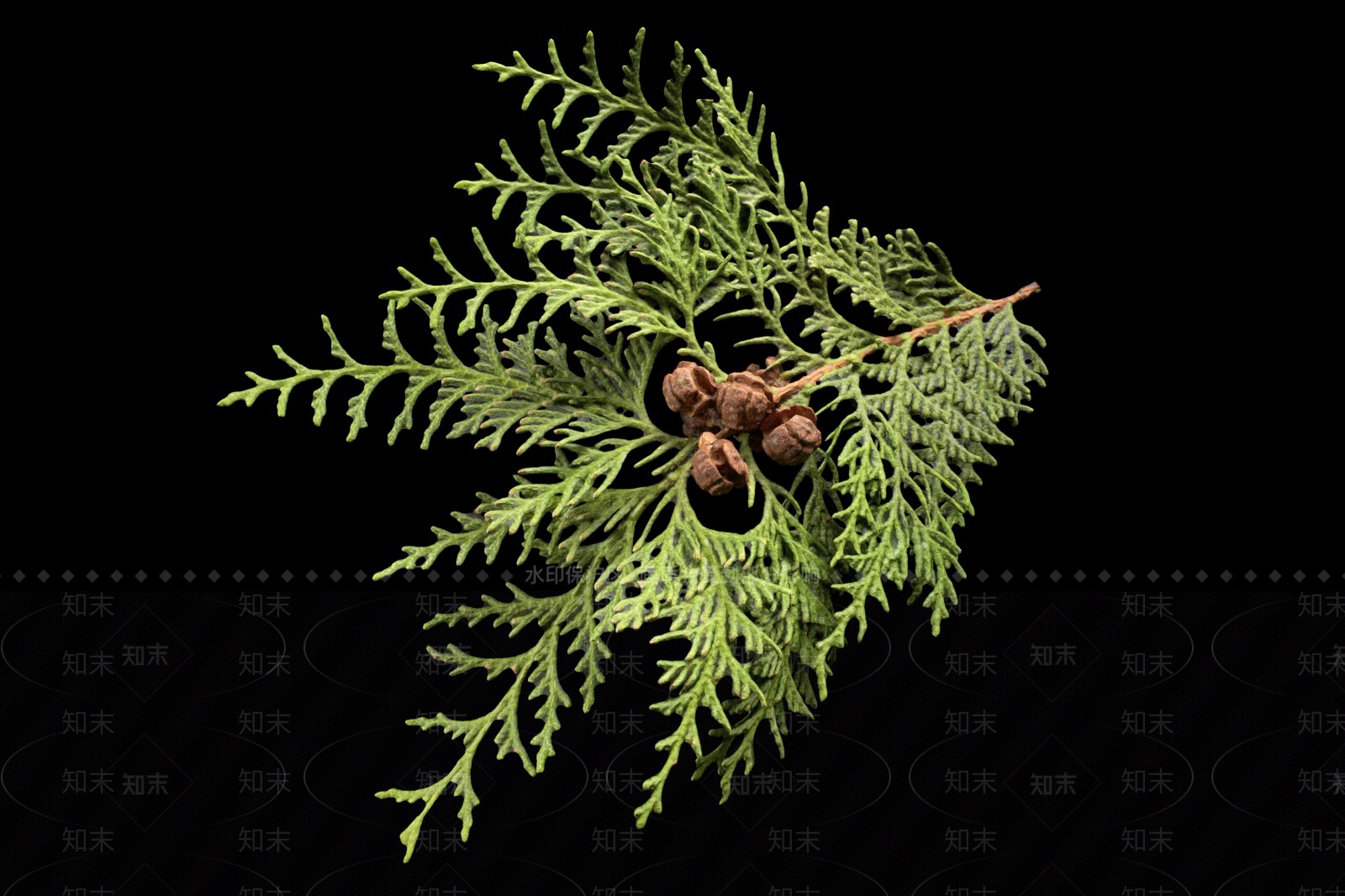 绿植3D模型下载【ID:1152094183】