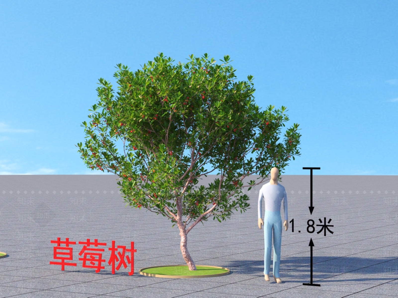 草莓树3D模型下载【ID:1152095932】