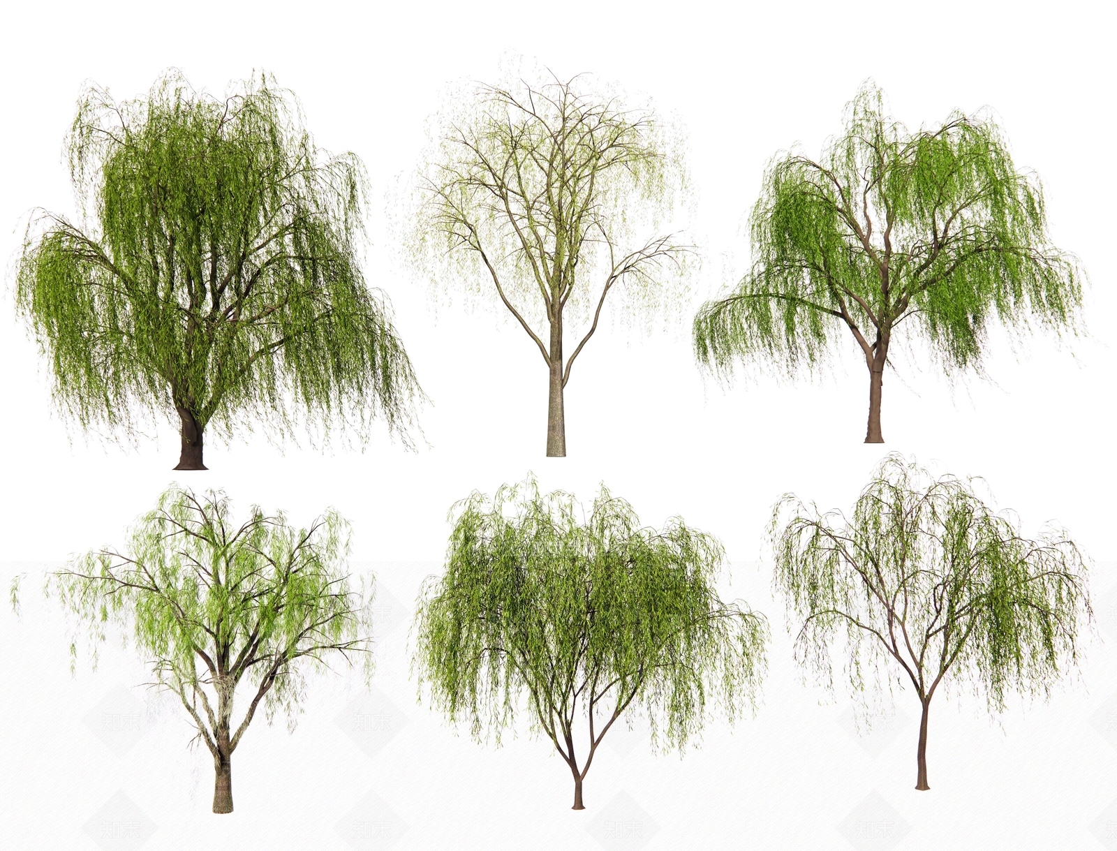 现代柳树3D模型下载【ID:1152103240】