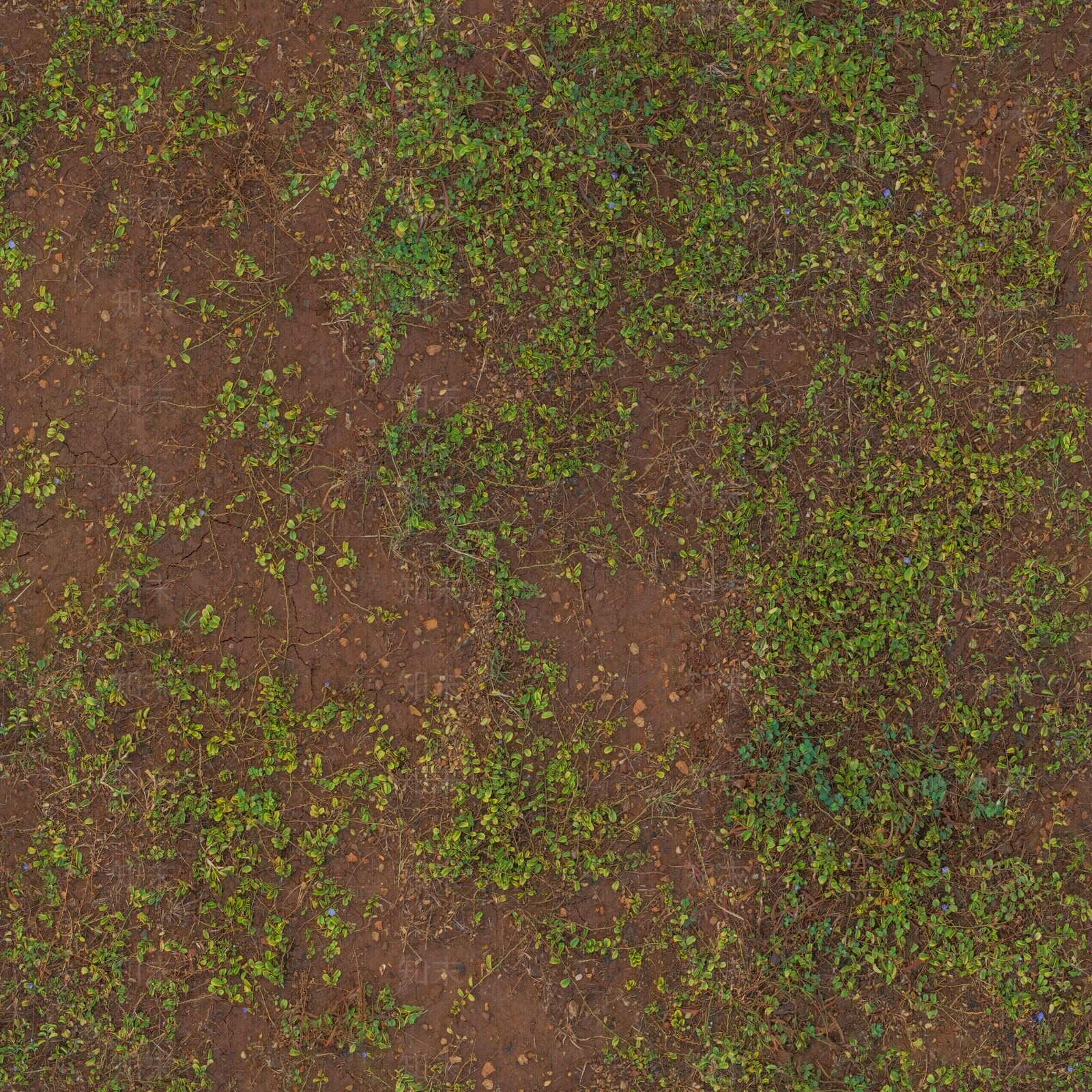 泥土草地地面贴图下载【ID:1152126158】