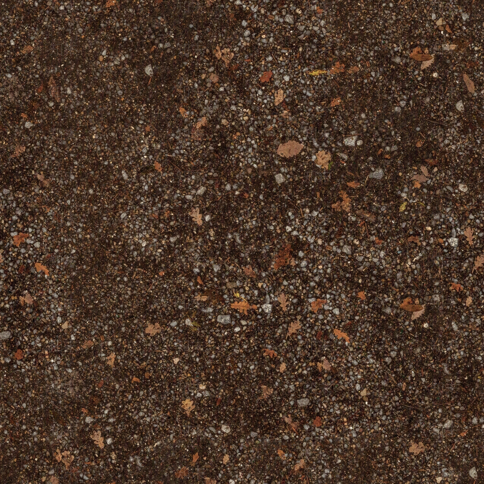 无缝森林土壤落叶沙石地面贴图下载【ID:1152167724】