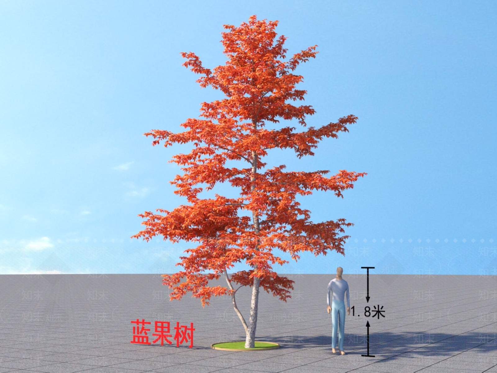 蓝果树3D模型下载【ID:1152169880】