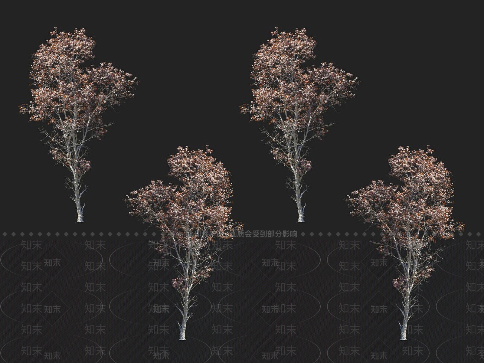 花楷槭3D模型下载【ID:1152170660】