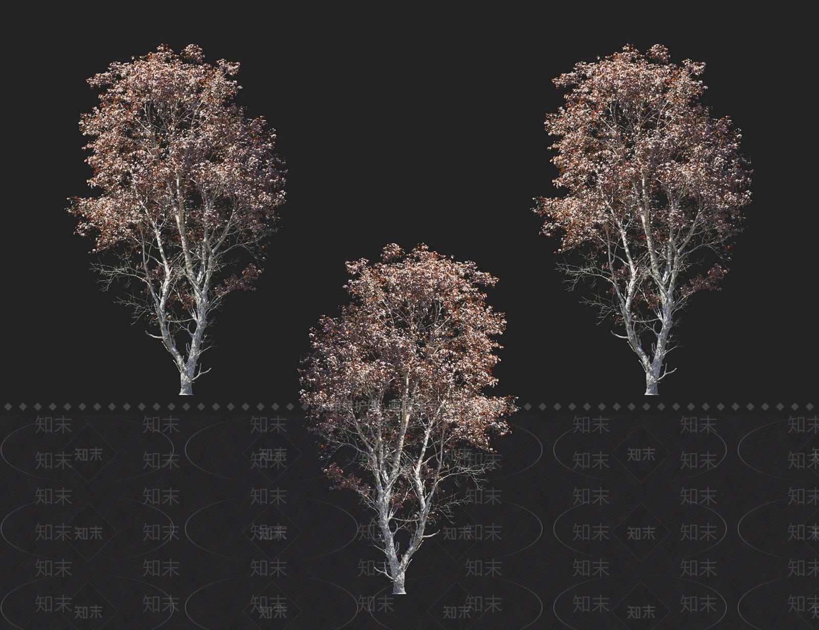花楷槭3D模型下载【ID:1152170688】