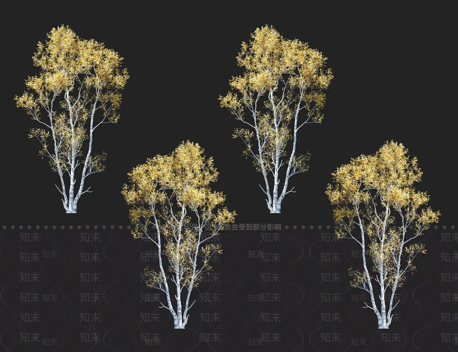桦树3D模型下载【ID:1152171190】