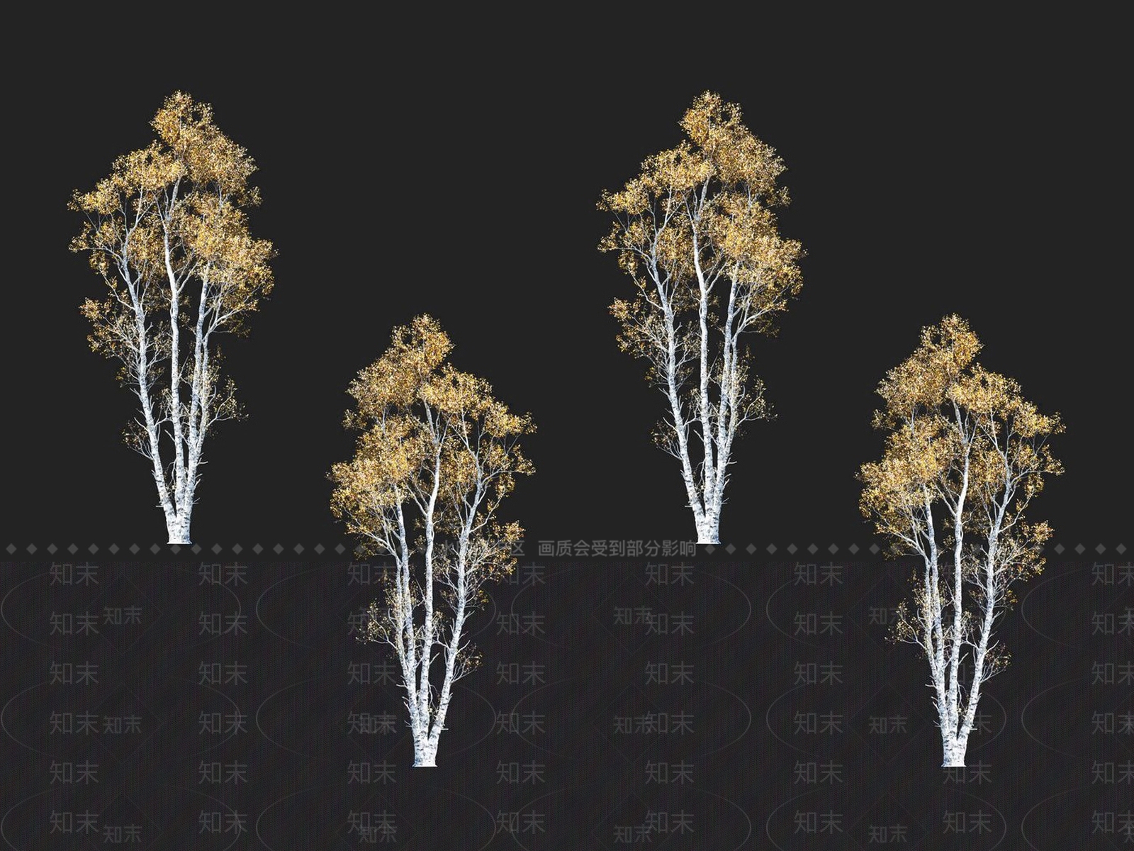 桦树3D模型下载【ID:1152171344】