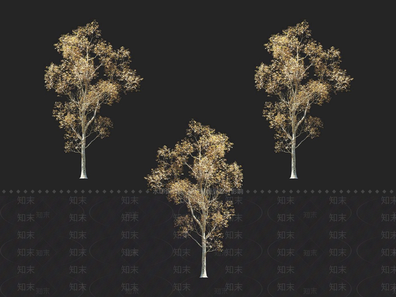 朴树3D模型下载【ID:1152171496】