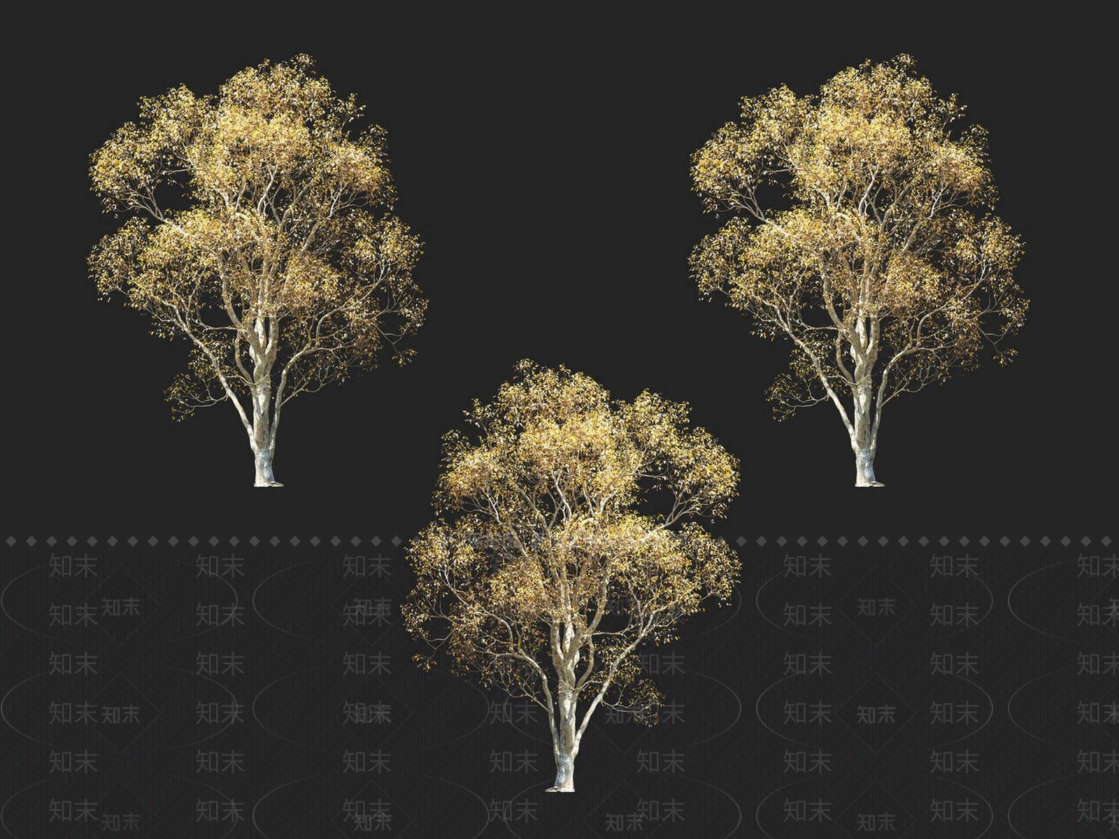 朴树3D模型下载【ID:1152171527】