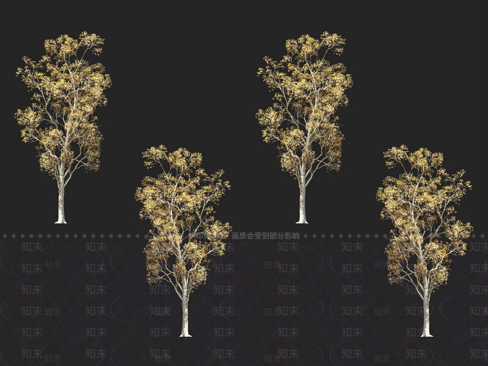 朴树3D模型下载【ID:1152171719】