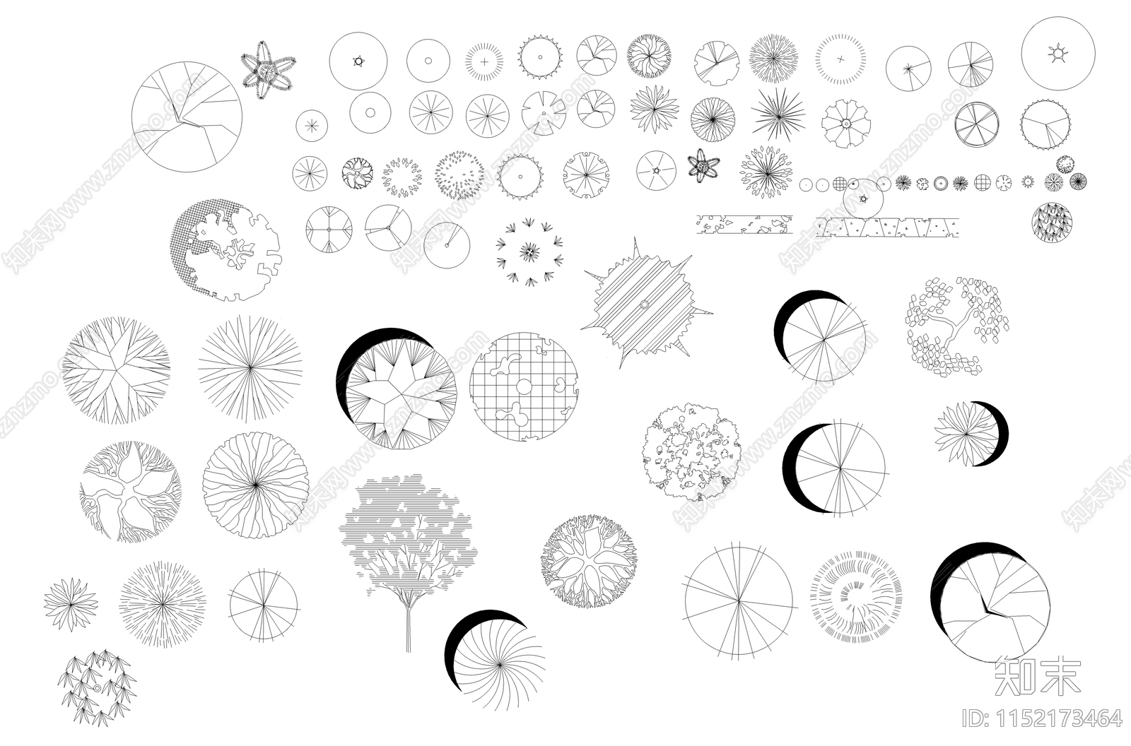 植物图块cad施工图下载【ID:1152173464】
