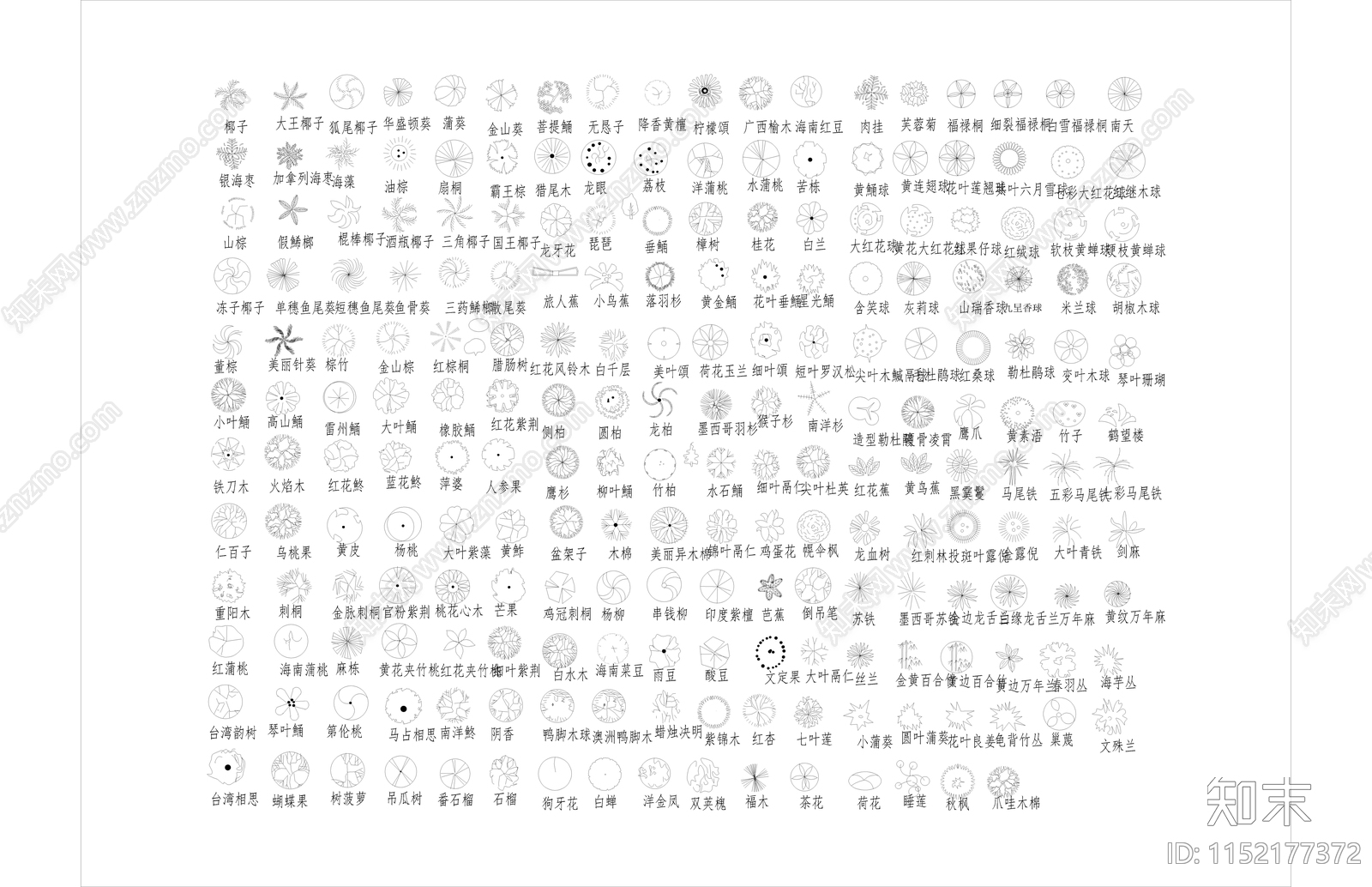 园林树木绿植平面图标图库大全施工图下载【ID:1152177372】