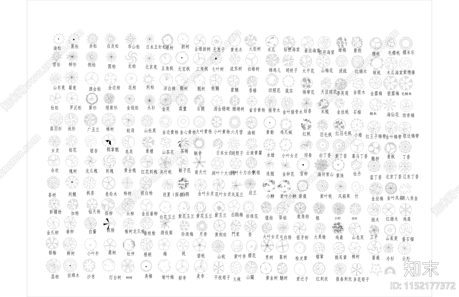 园林树木绿植平面图标图库大全施工图下载【ID:1152177372】