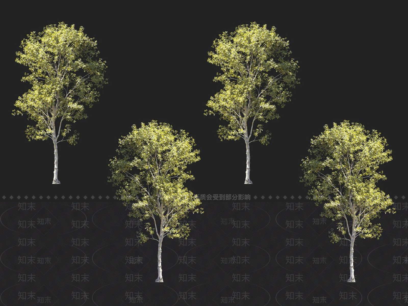 桑树3D模型下载【ID:1152182897】