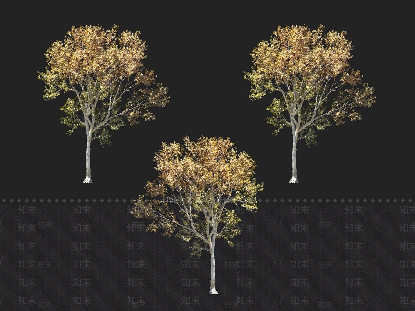 桑树3D模型下载【ID:1152182811】