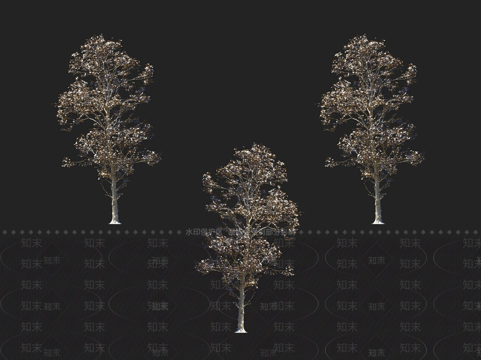 檫树3D模型下载【ID:1152183685】