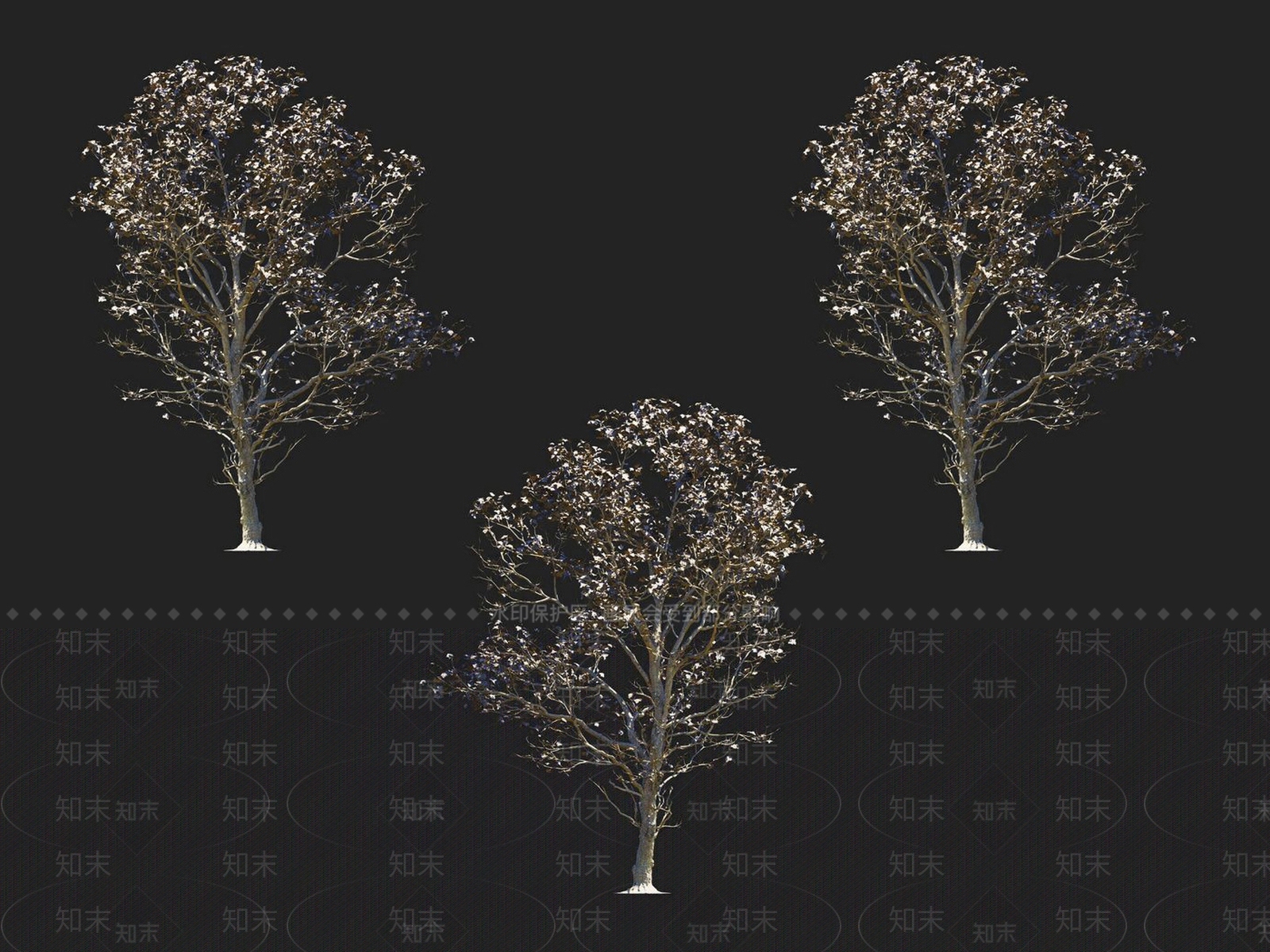 檫树3D模型下载【ID:1152183997】