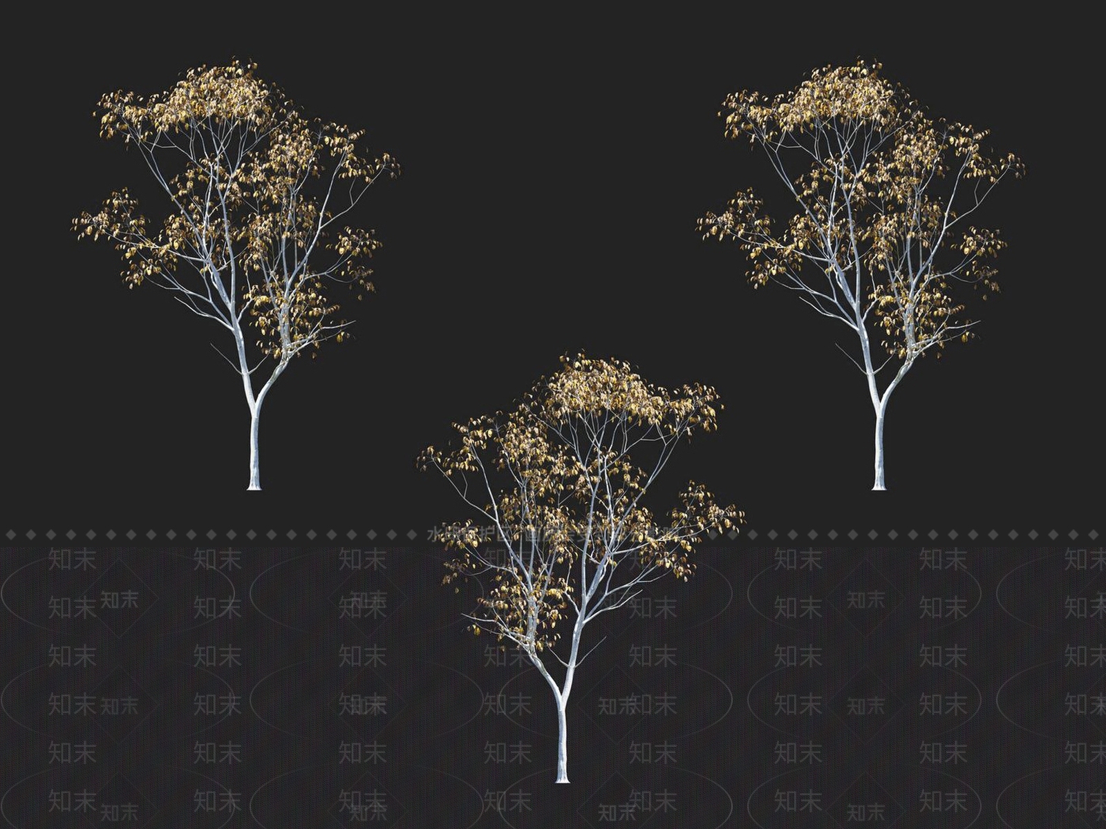 漆树3D模型下载【ID:1152184231】
