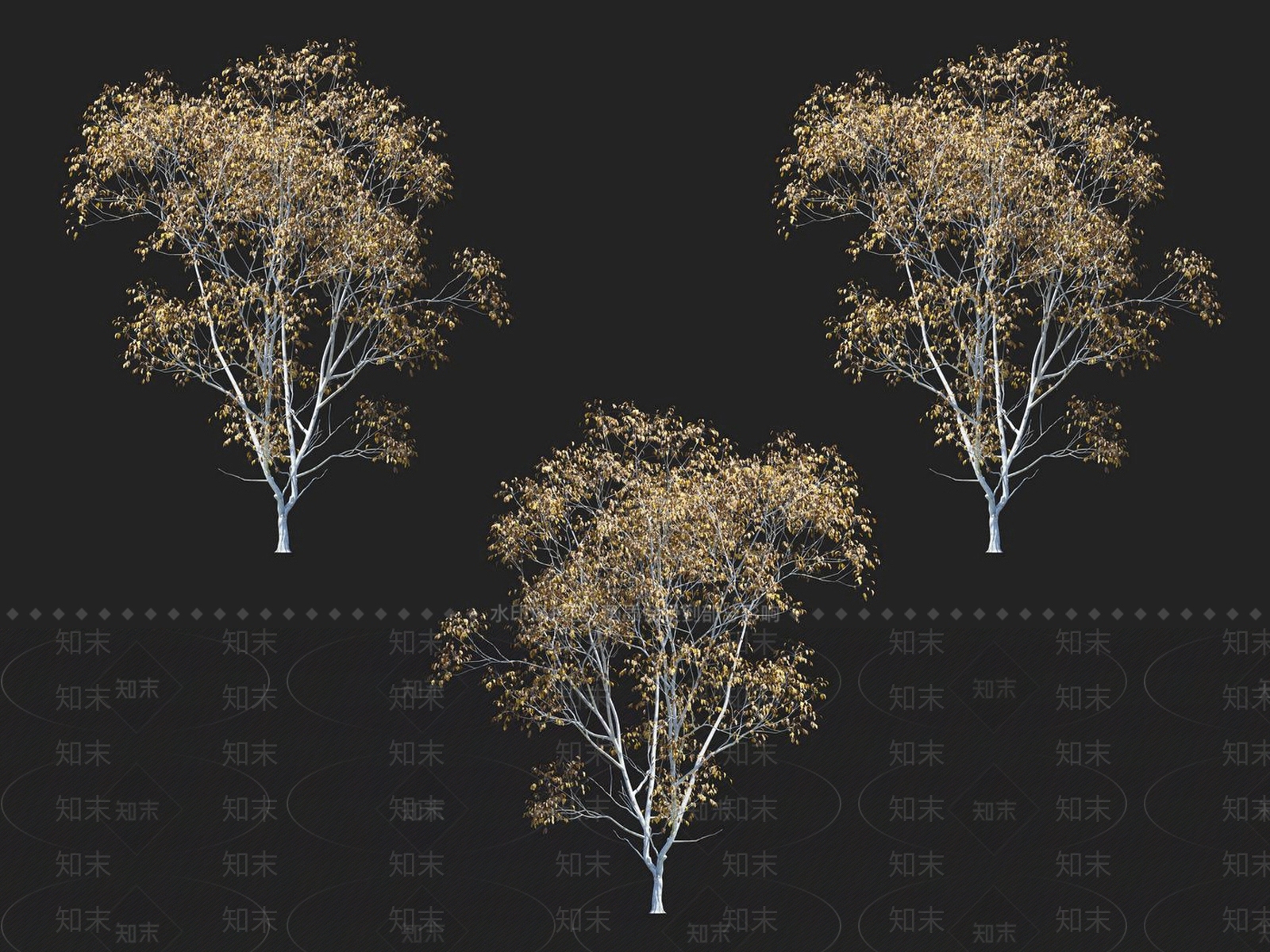 檫树3D模型下载【ID:1152184197】