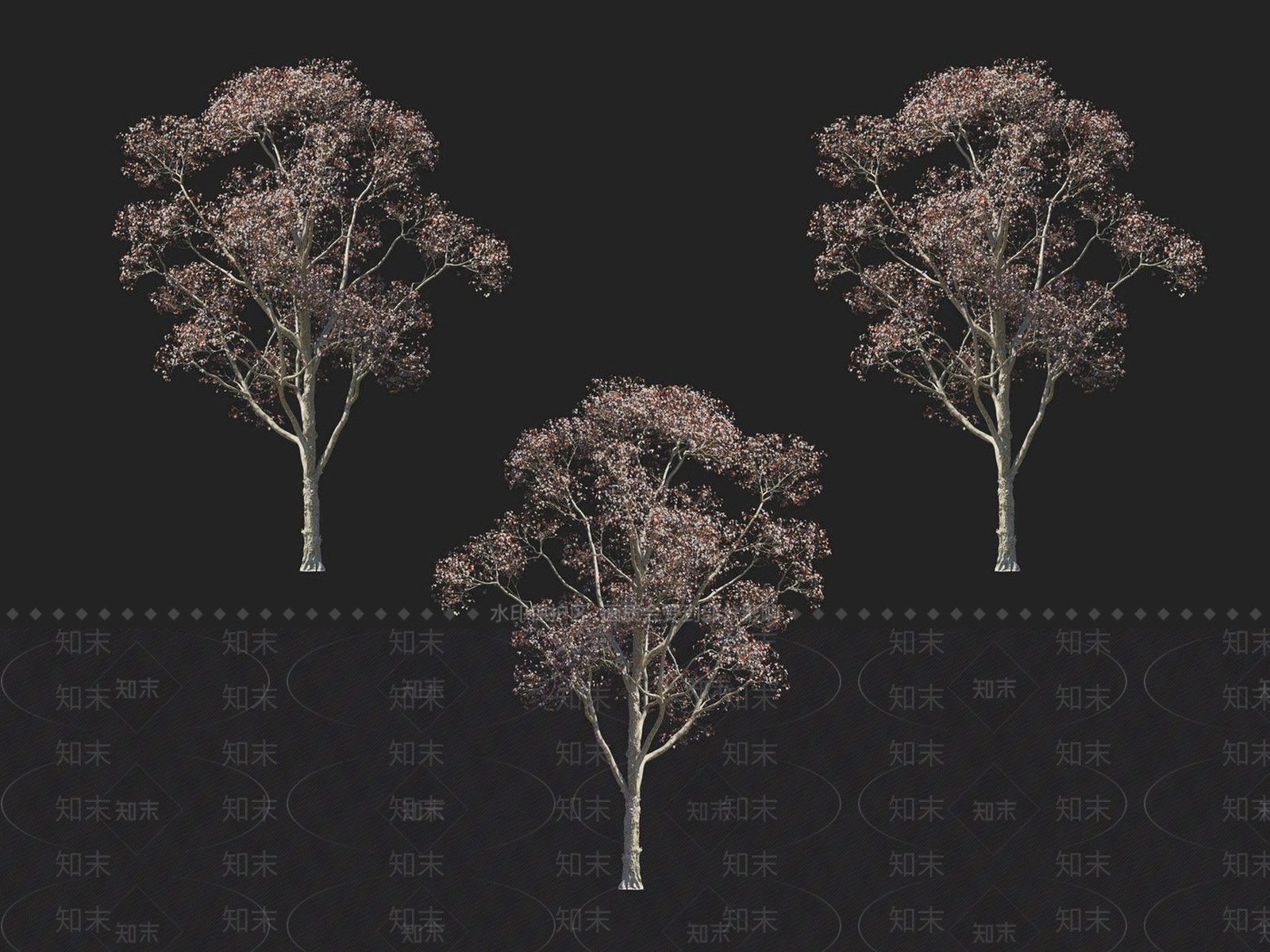 乌桕树3D模型下载【ID:1152185060】