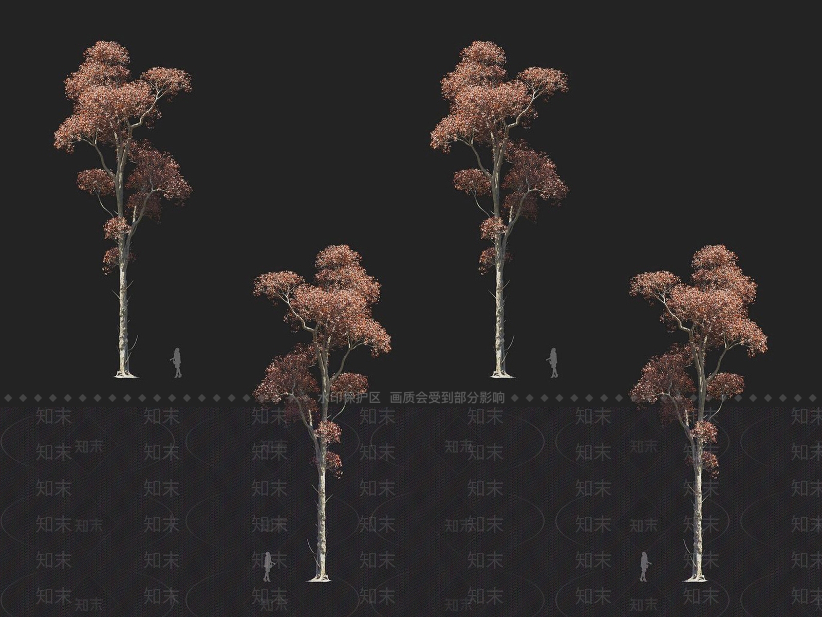 乌桕树3D模型下载【ID:1152185204】