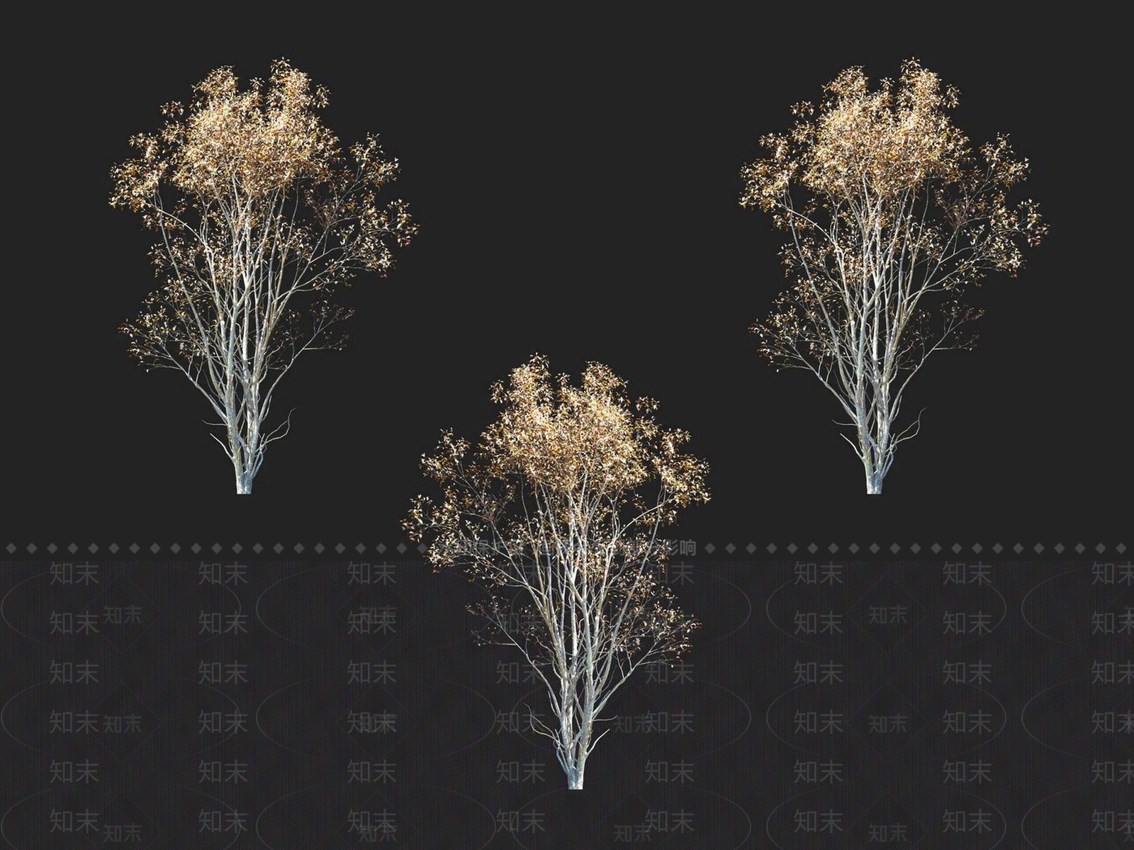 榆钱树3D模型下载【ID:1152185631】