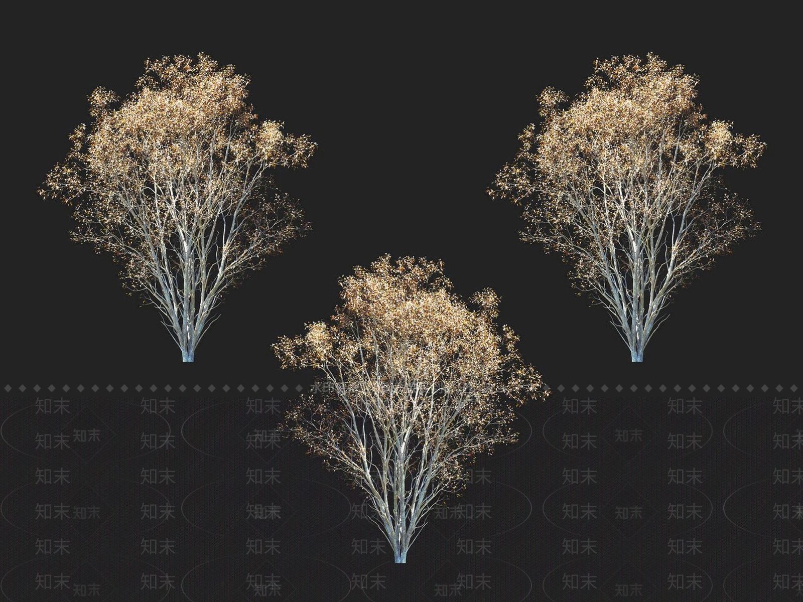 榆钱树3D模型下载【ID:1152185539】