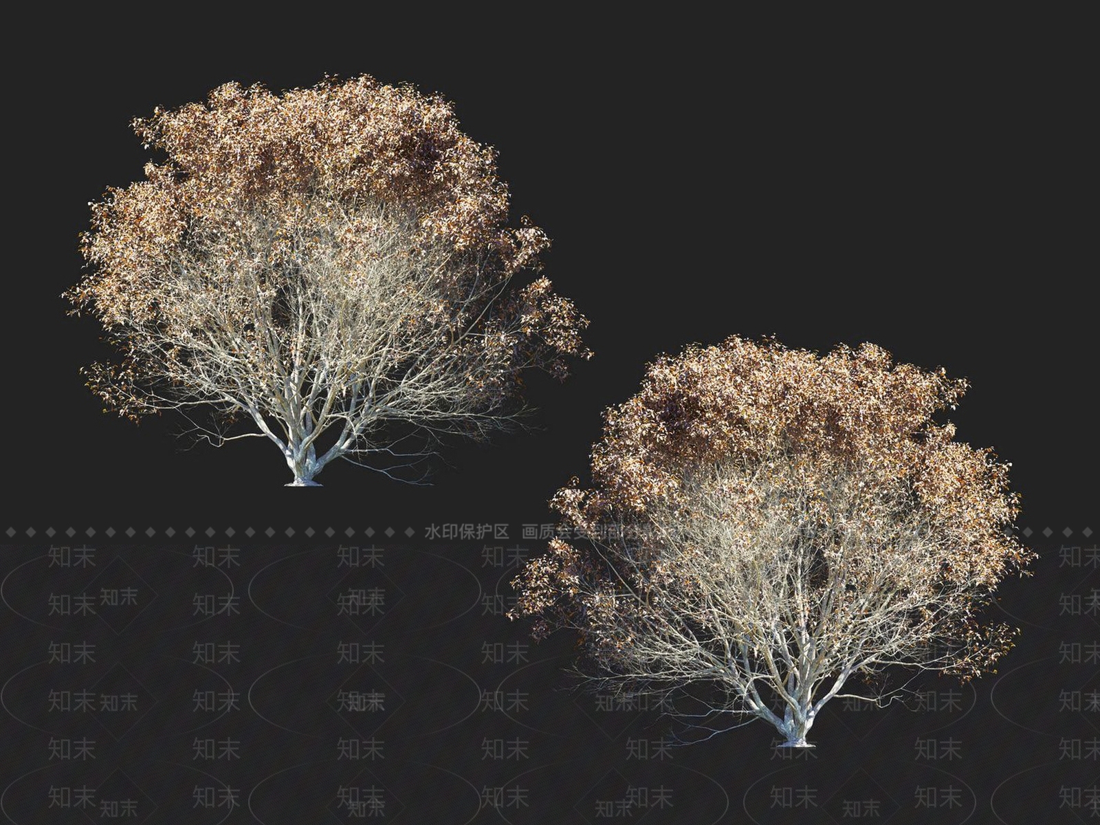 榆钱树3D模型下载【ID:1152185503】