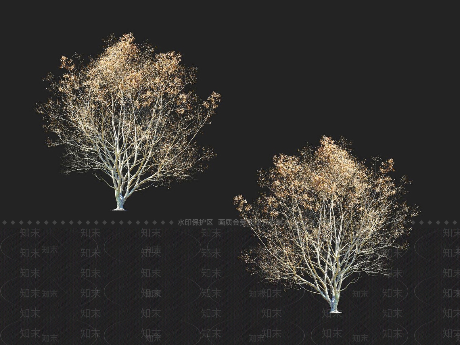 榆钱树3D模型下载【ID:1152185981】