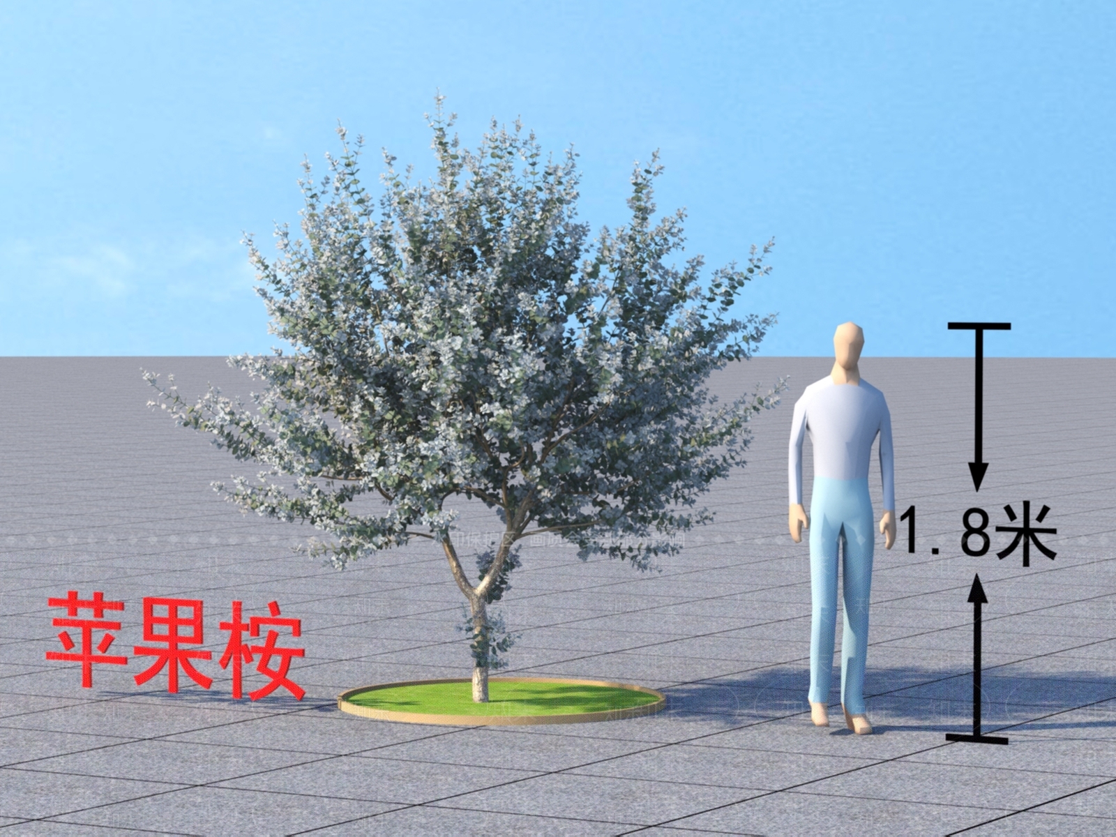 苹果桉3D模型下载【ID:1152208878】