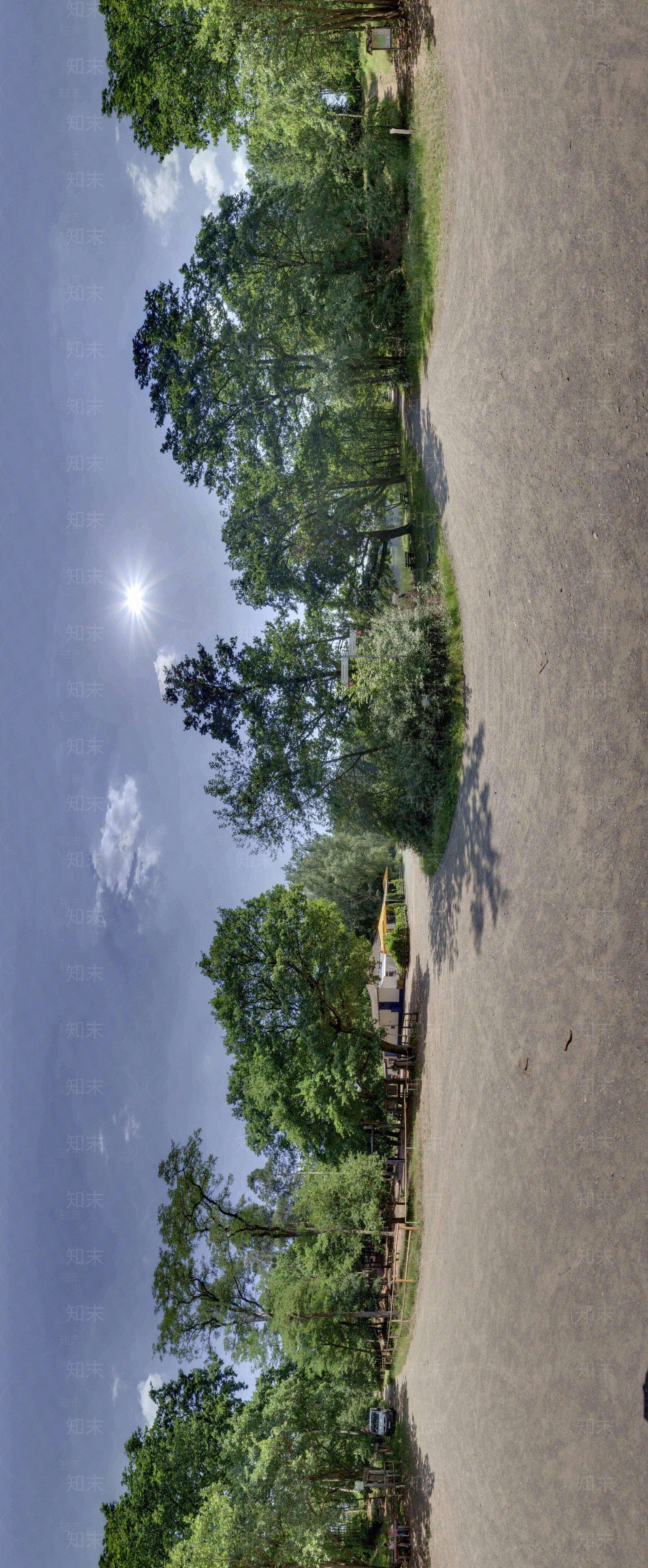 hdr户外森林公园贴图下载【id:1152217750】