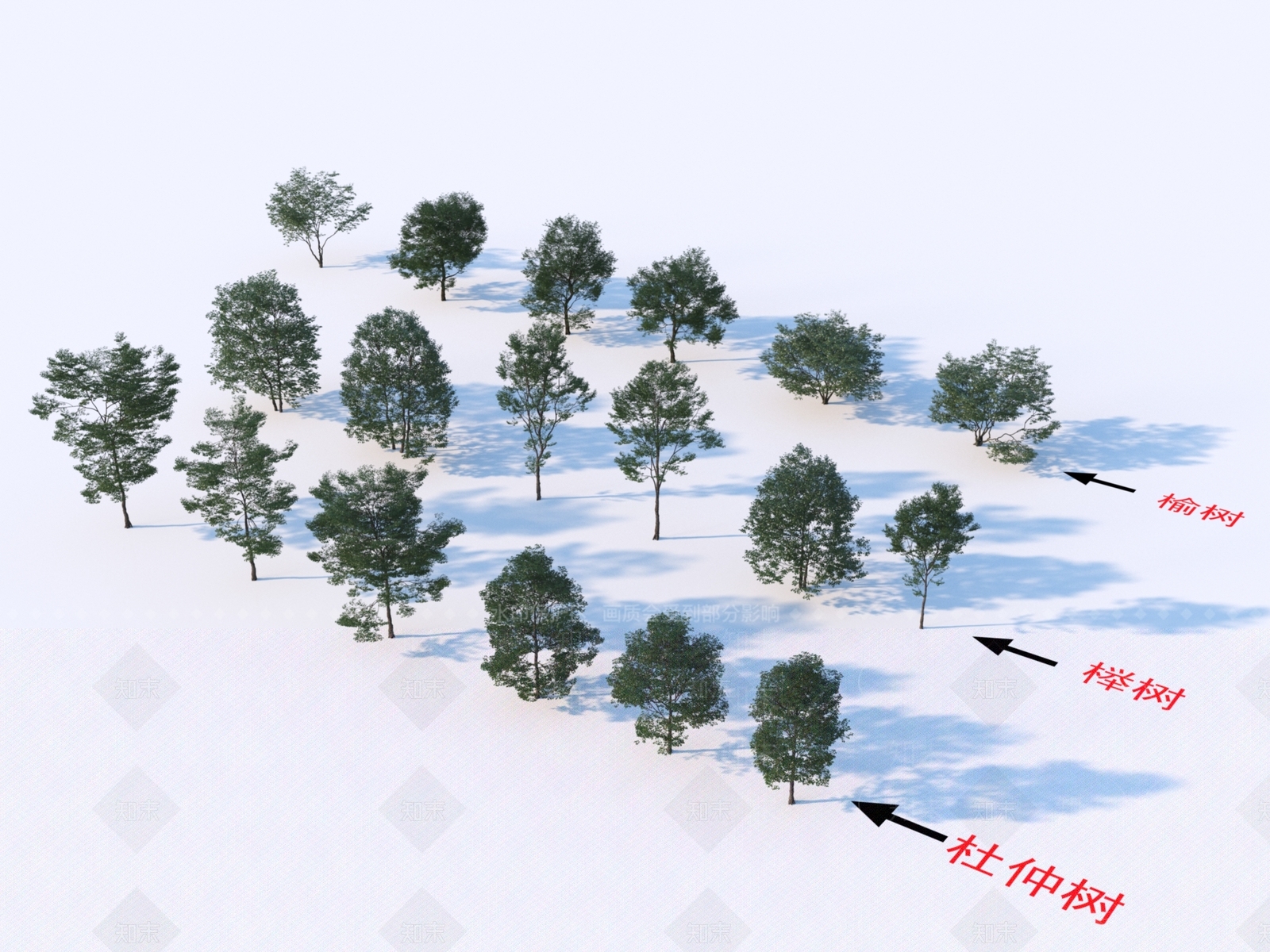 乔木3D模型下载【ID:1152284780】