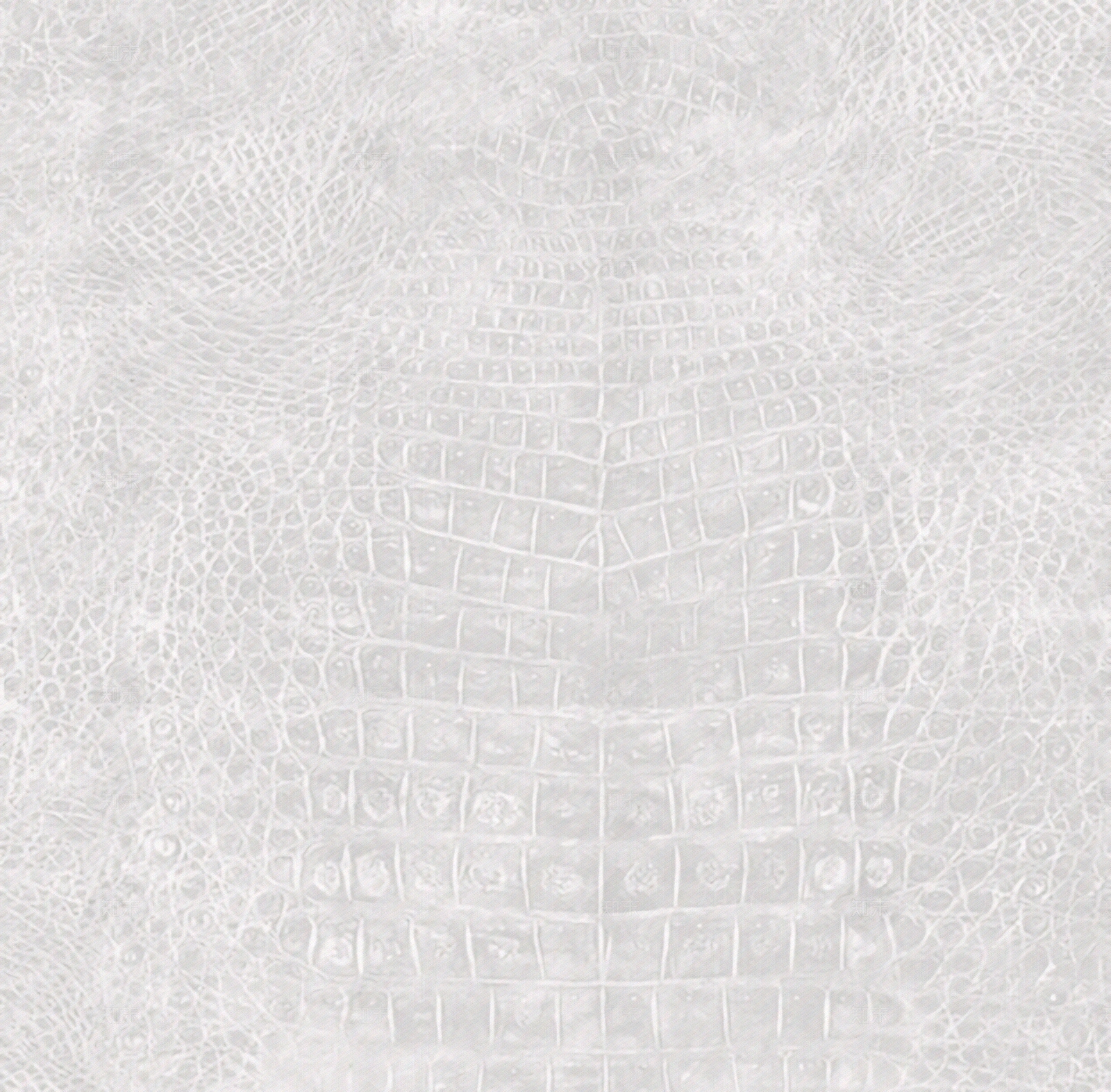 白色鳄鱼皮贴图下载【ID:1152365855】