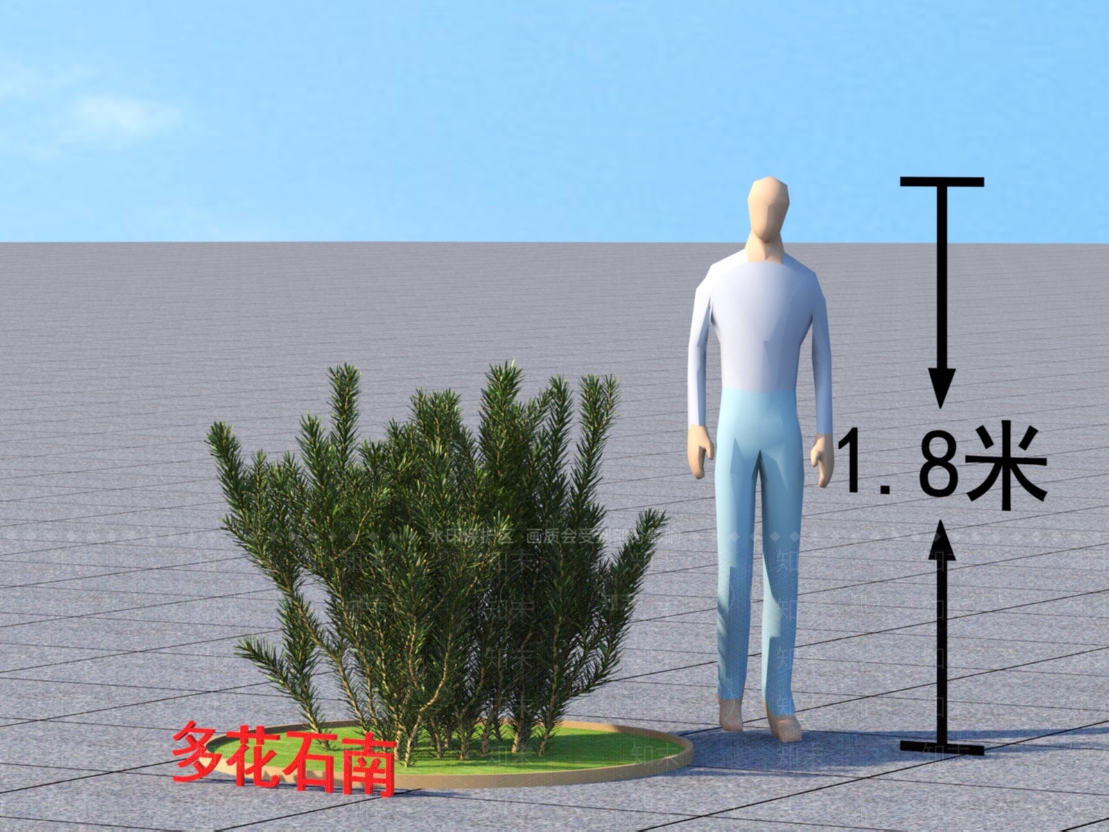 多花石南3D模型下载【ID:1152392557】