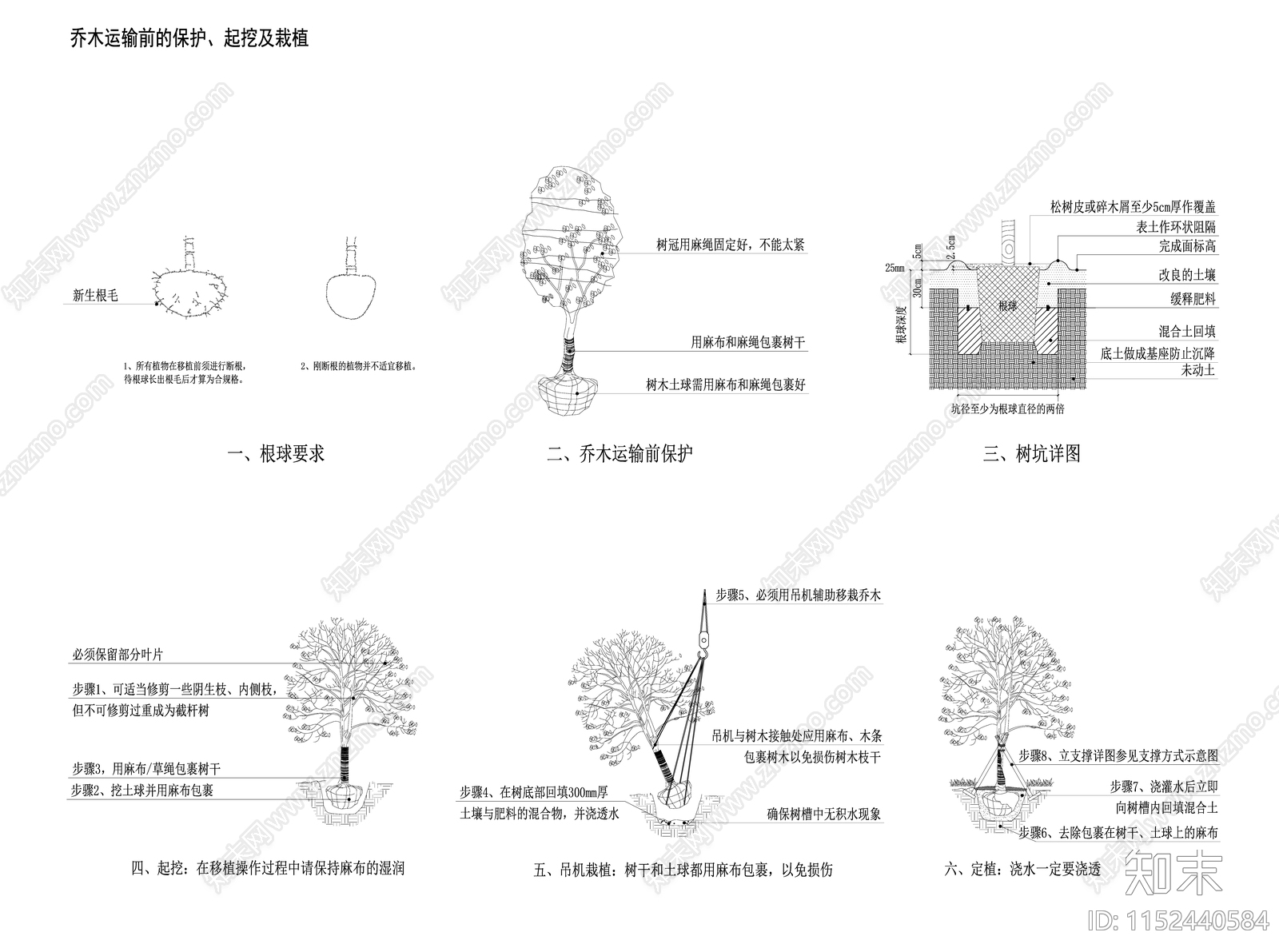 植物种植详图施工图下载【ID:1152440584】